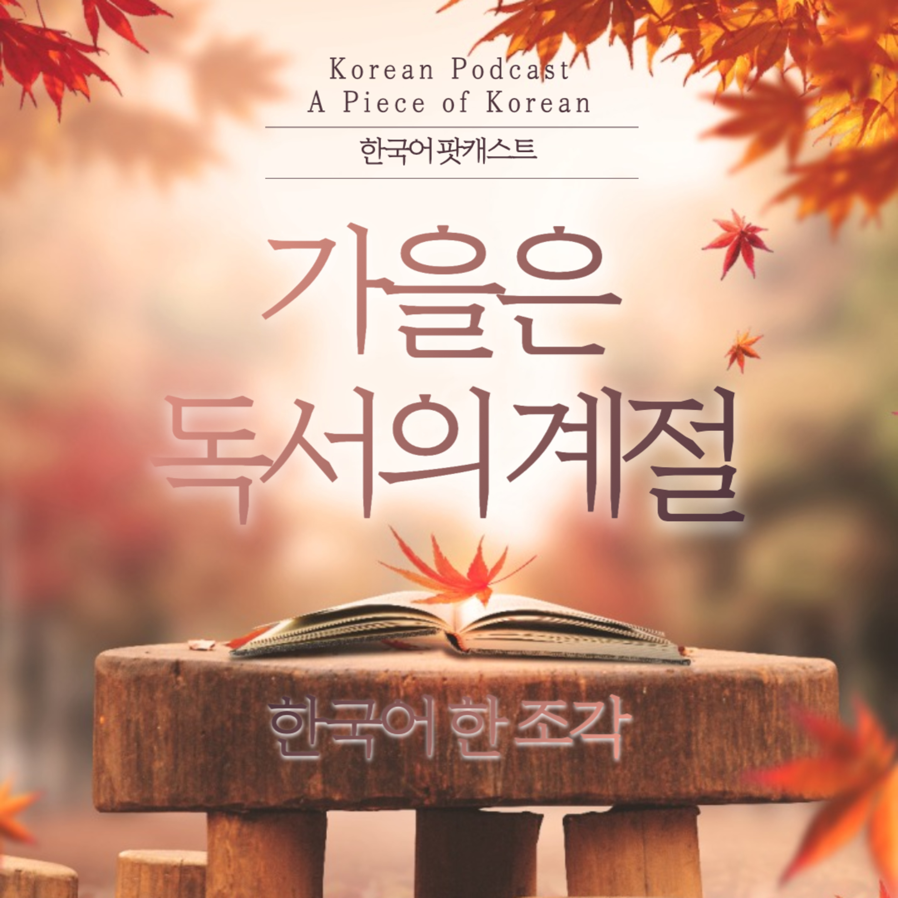 086. 독서의 계절, 가을📚🍂Season for reading, Autumn