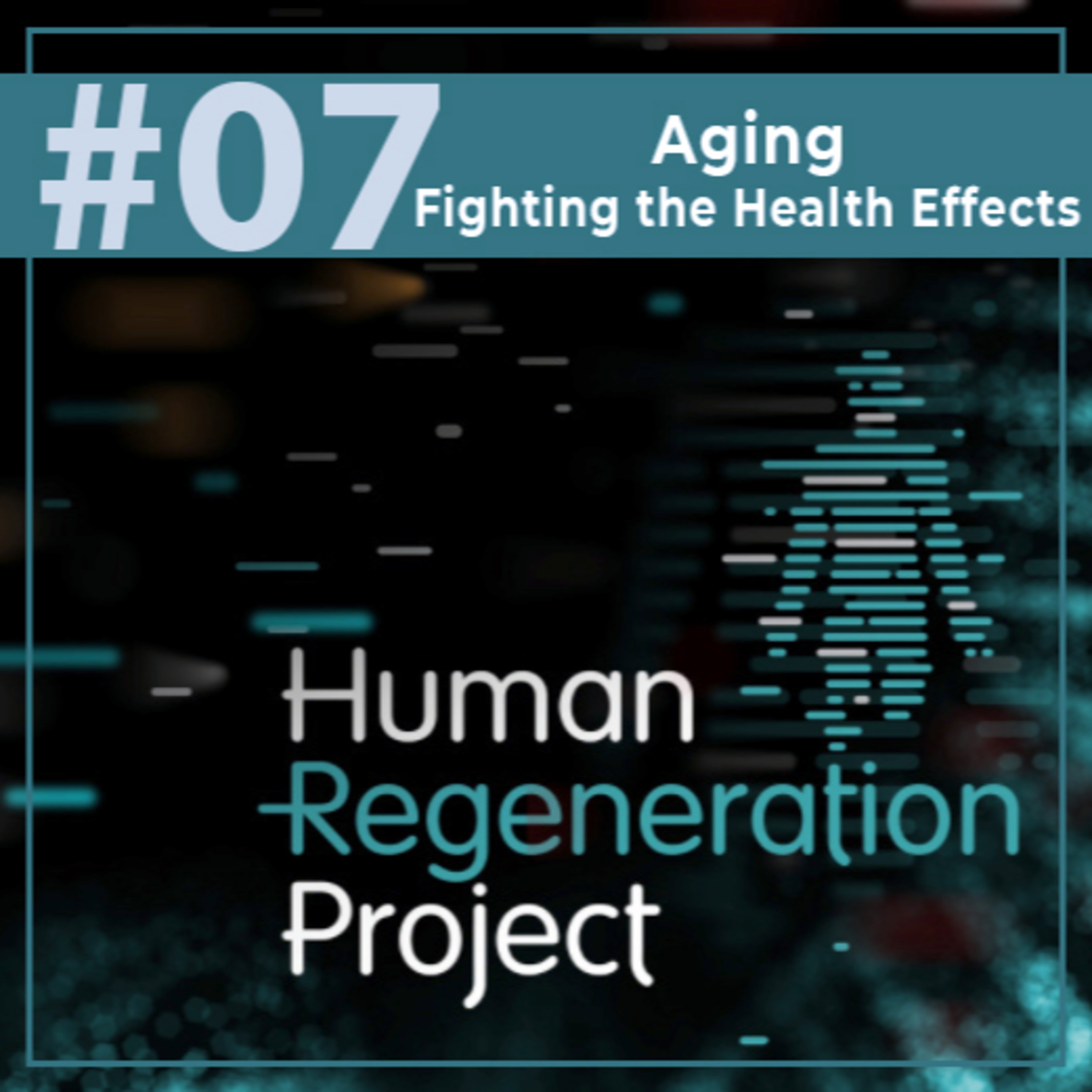 #07 - Aging - Fighting the Health Effects of Getting Older