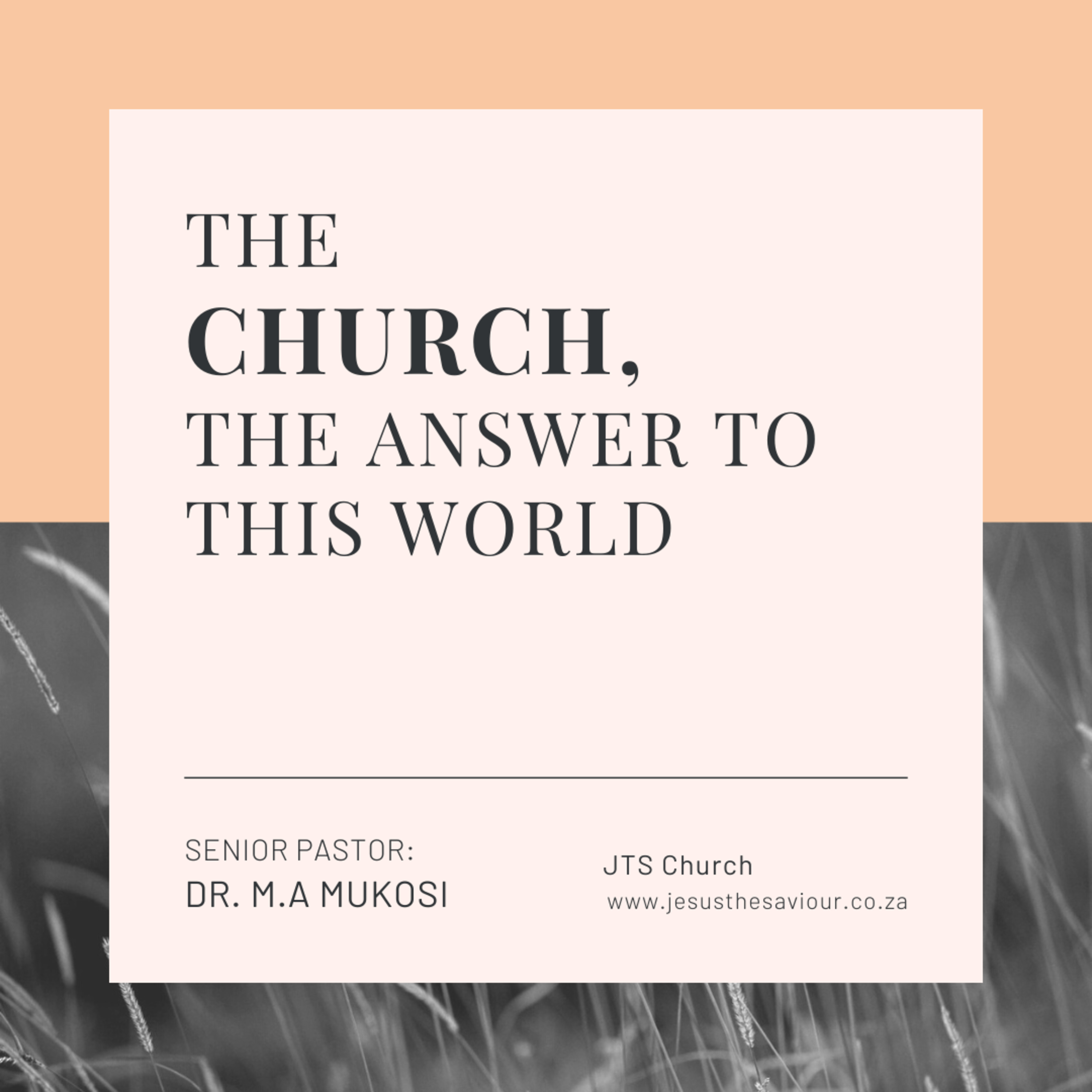 The Church, the answer to this World - Dr. M.A Mukosi episode artwork