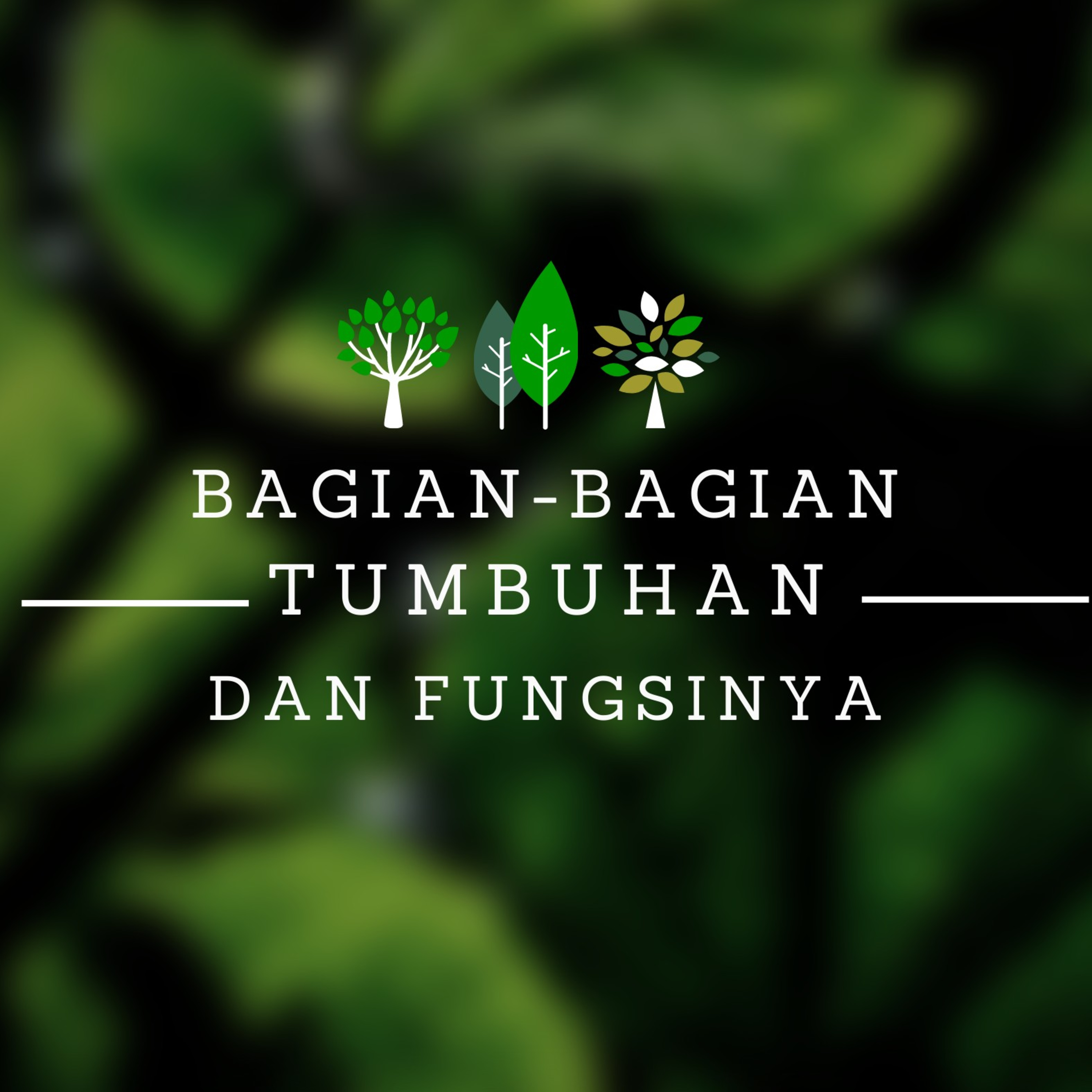 Bagian-Bagian Tumbuhan dan Fungsinya