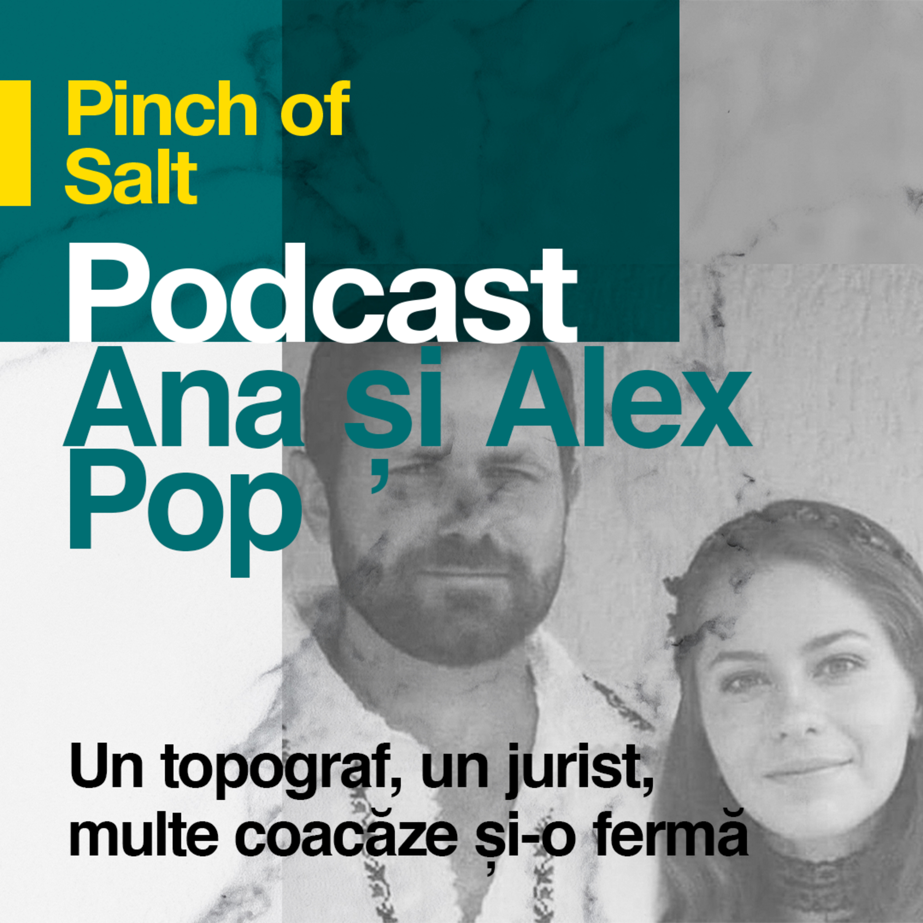 Podcastul Pinch of Salt
