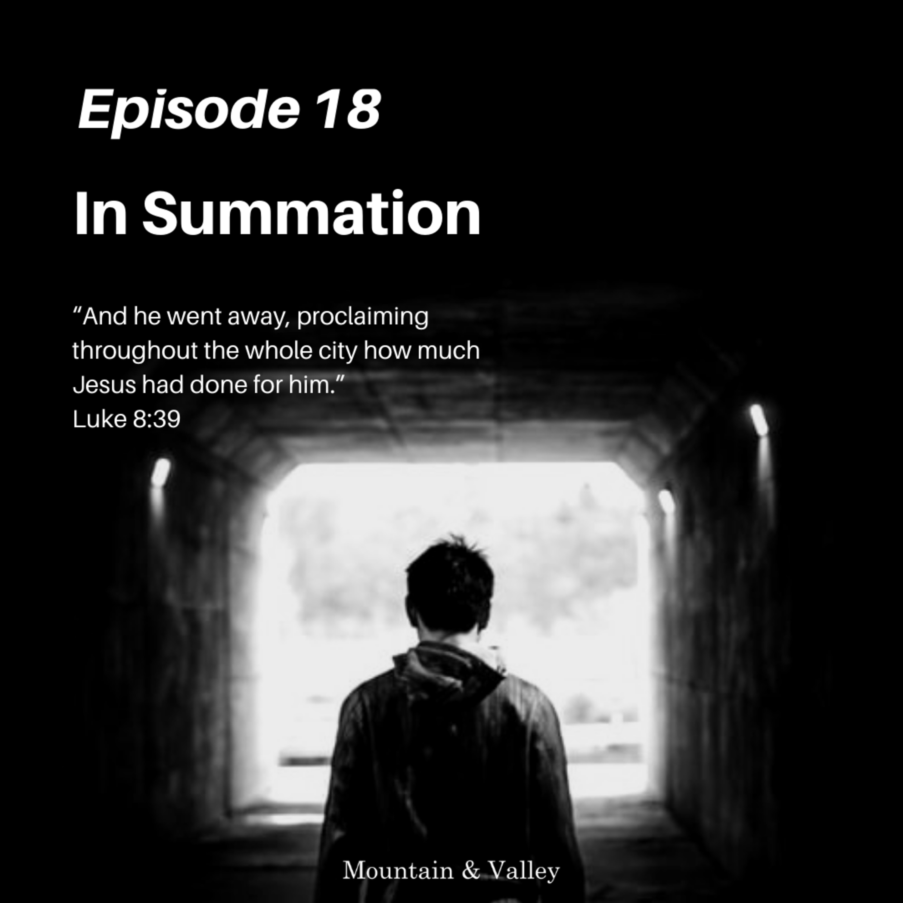 Episode 18: In Summation episode artwork