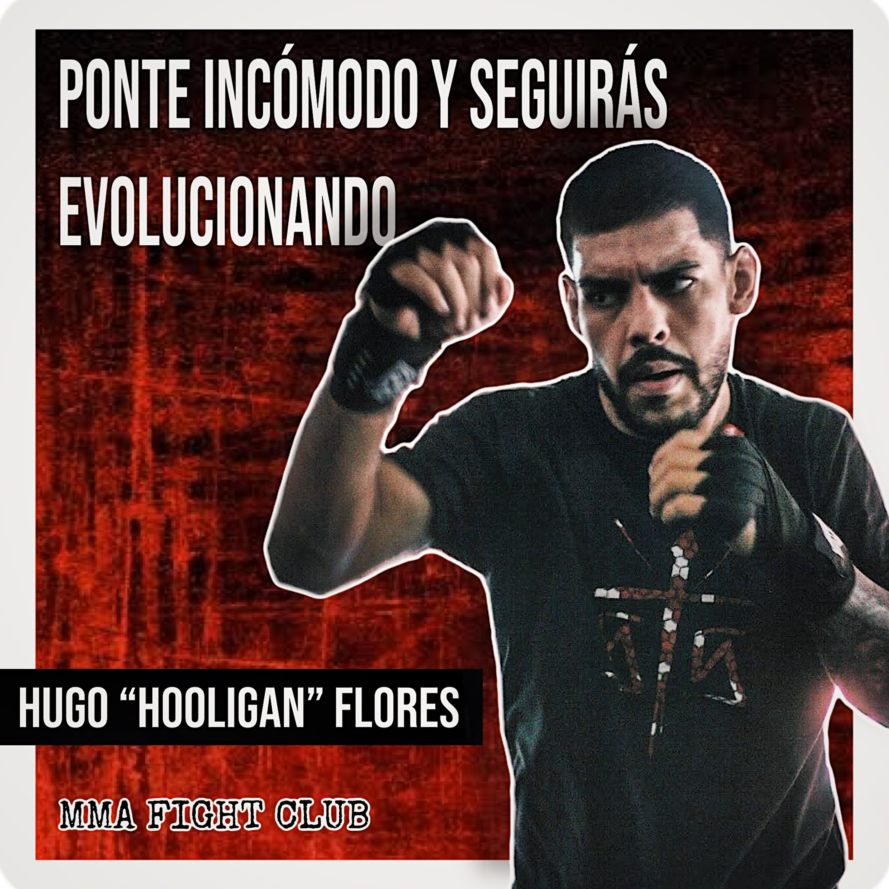 HISTORIAS DE GUERREROS