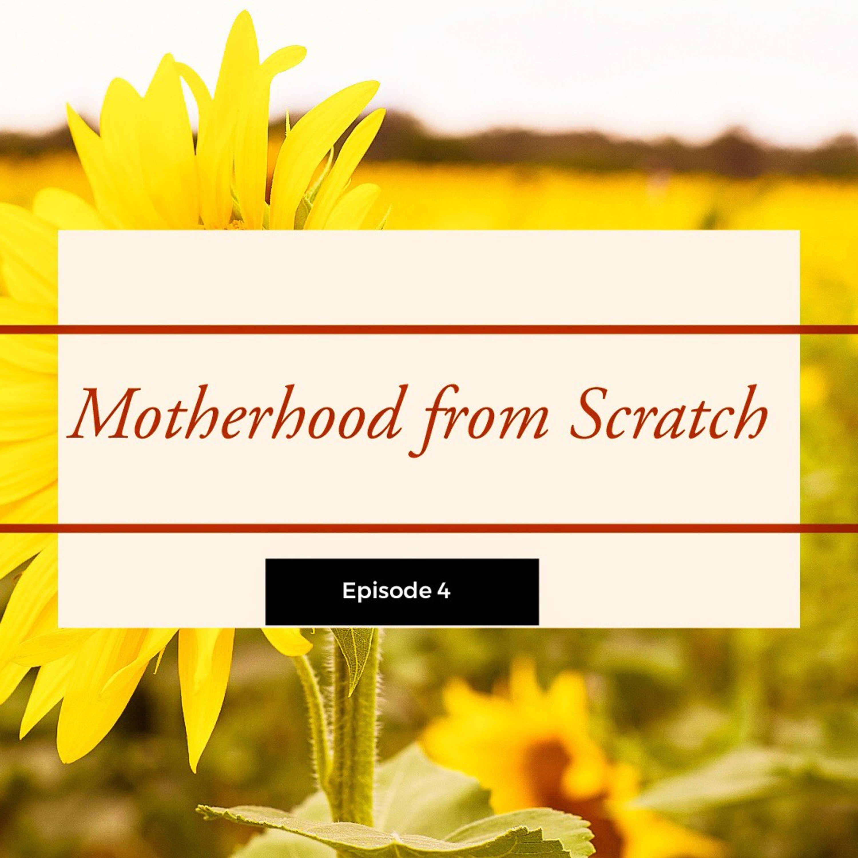 Motherhood from Scratch
