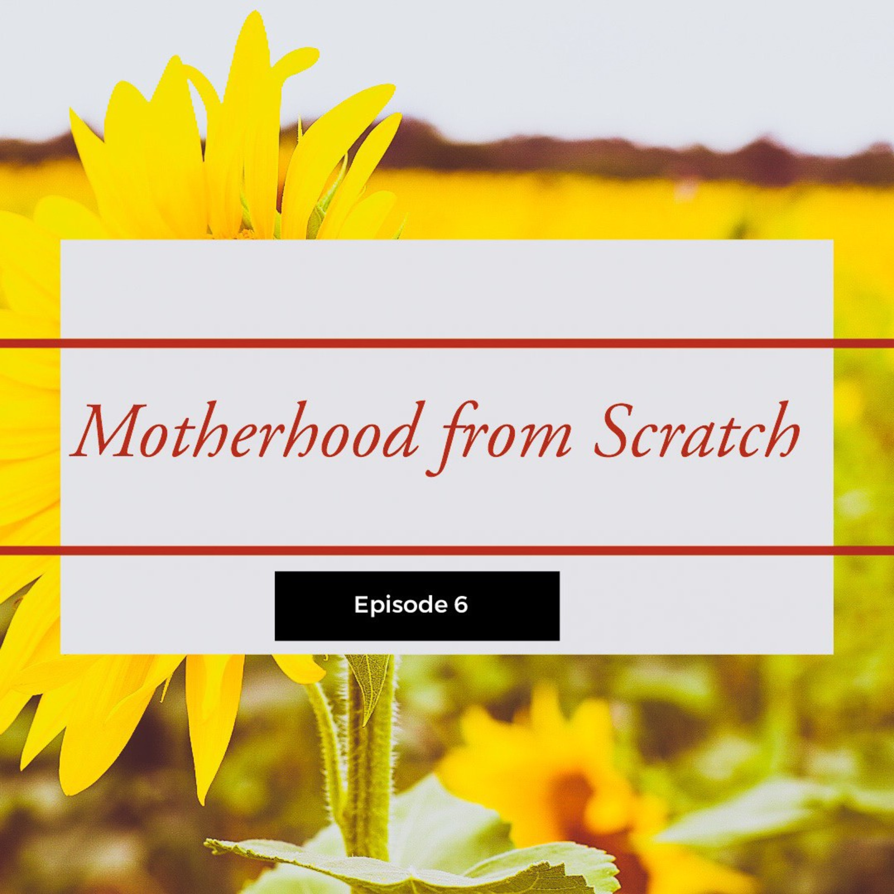 Motherhood from Scratch