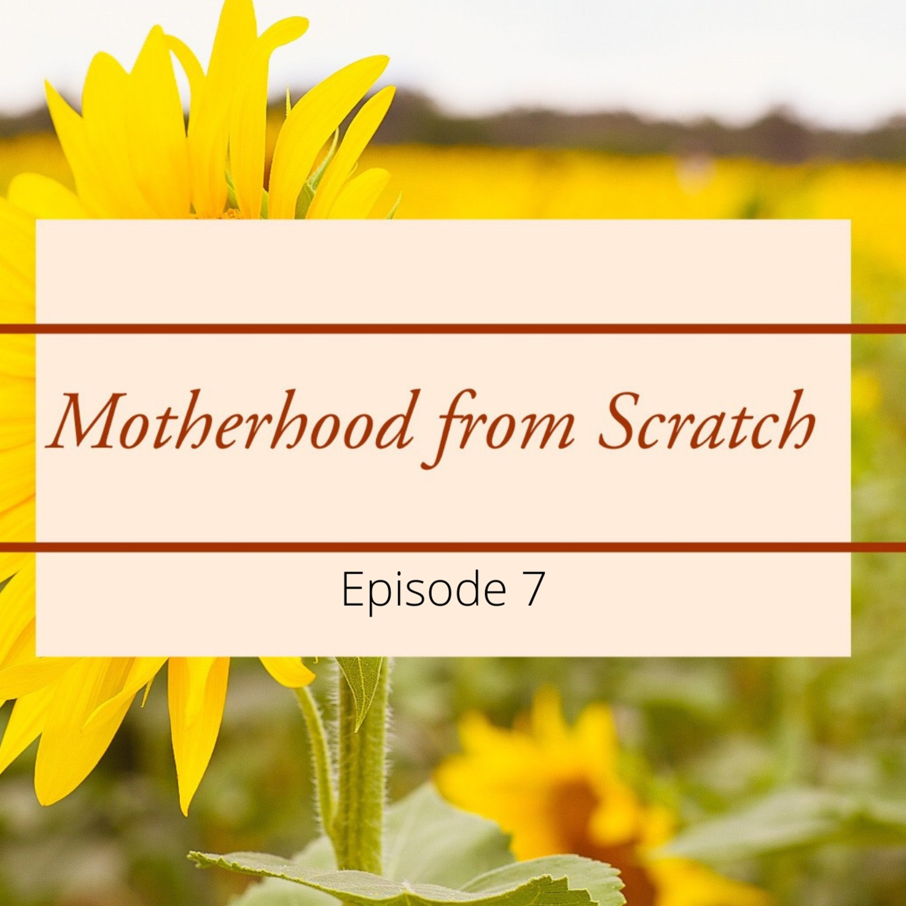 Motherhood from Scratch
