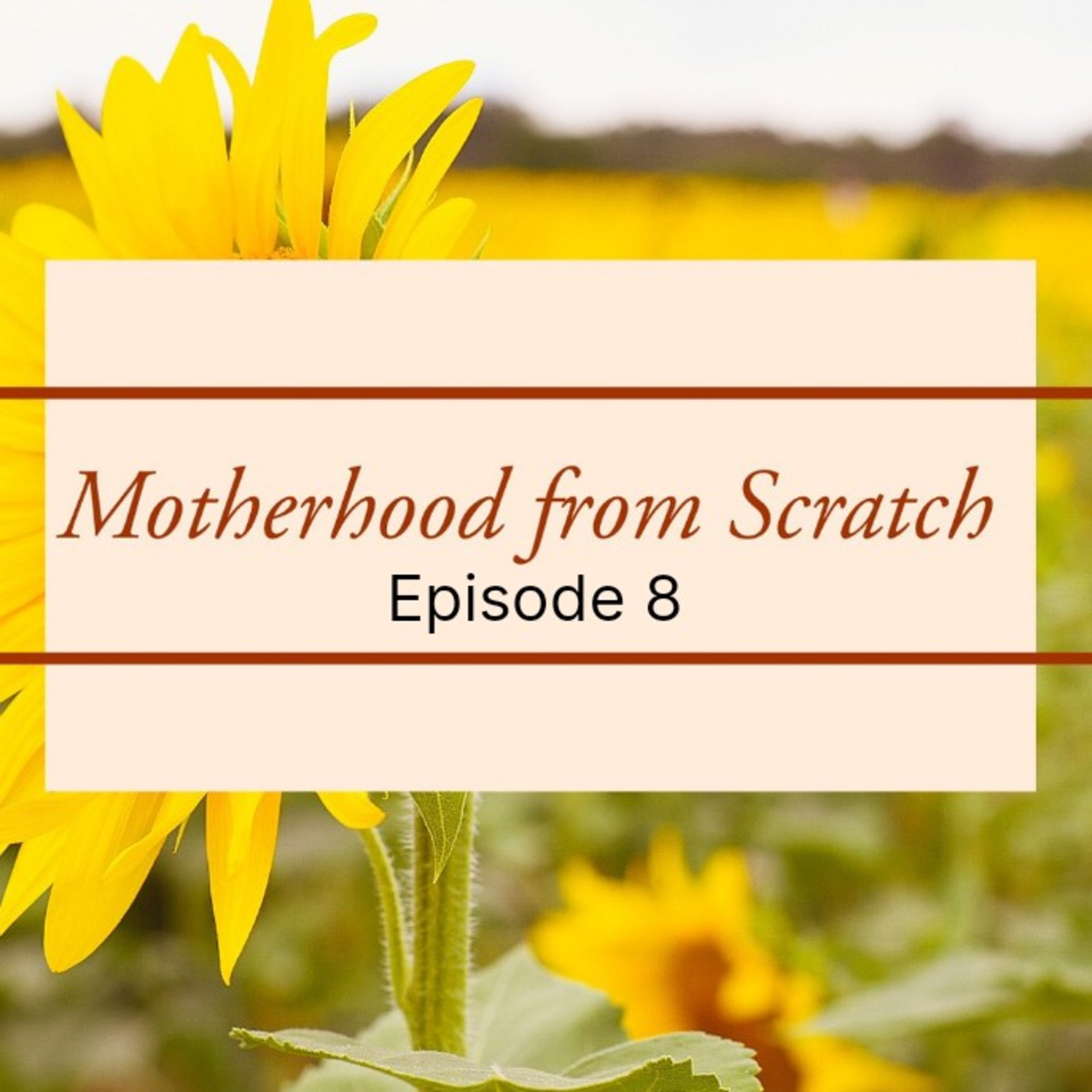 Motherhood from Scratch