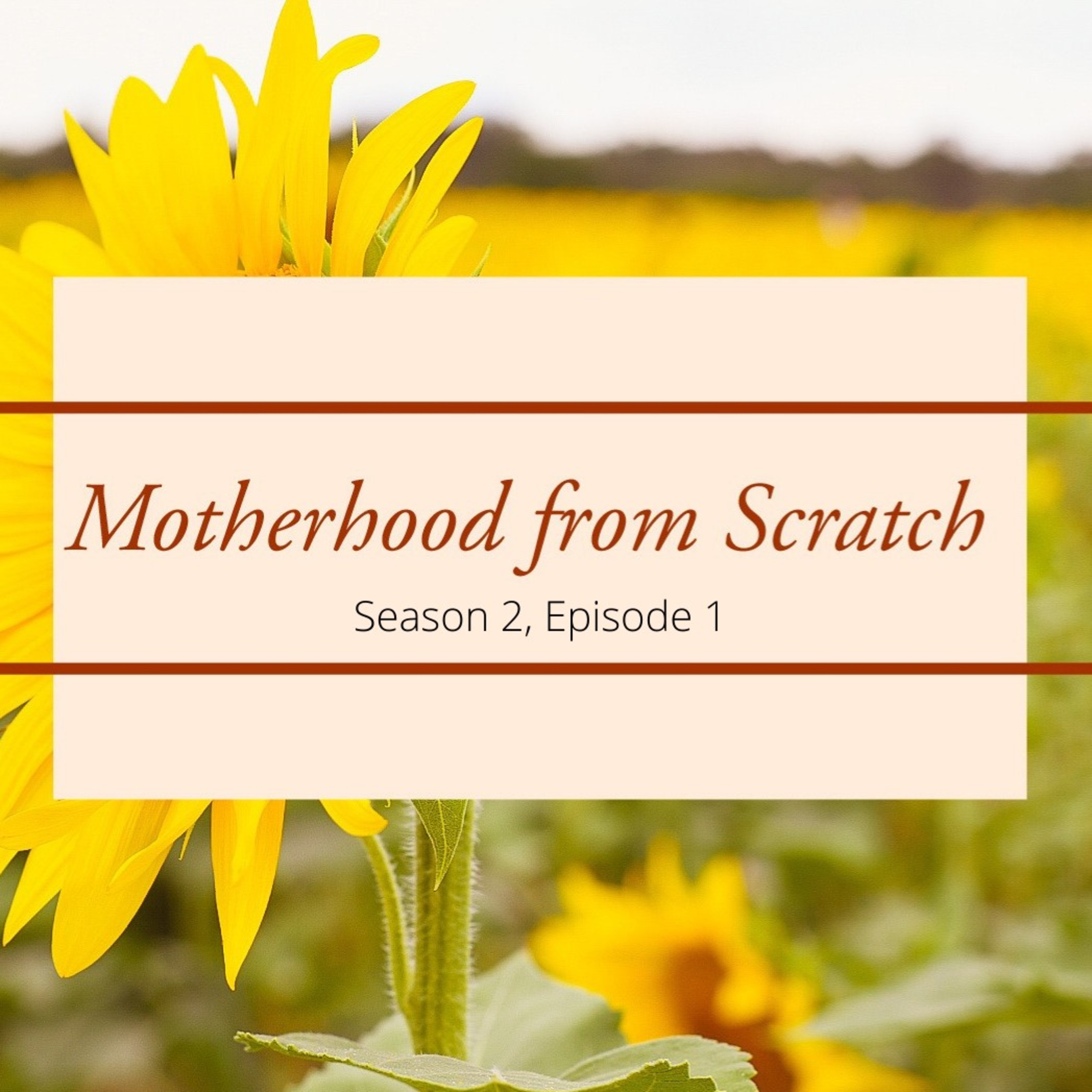 Motherhood from Scratch