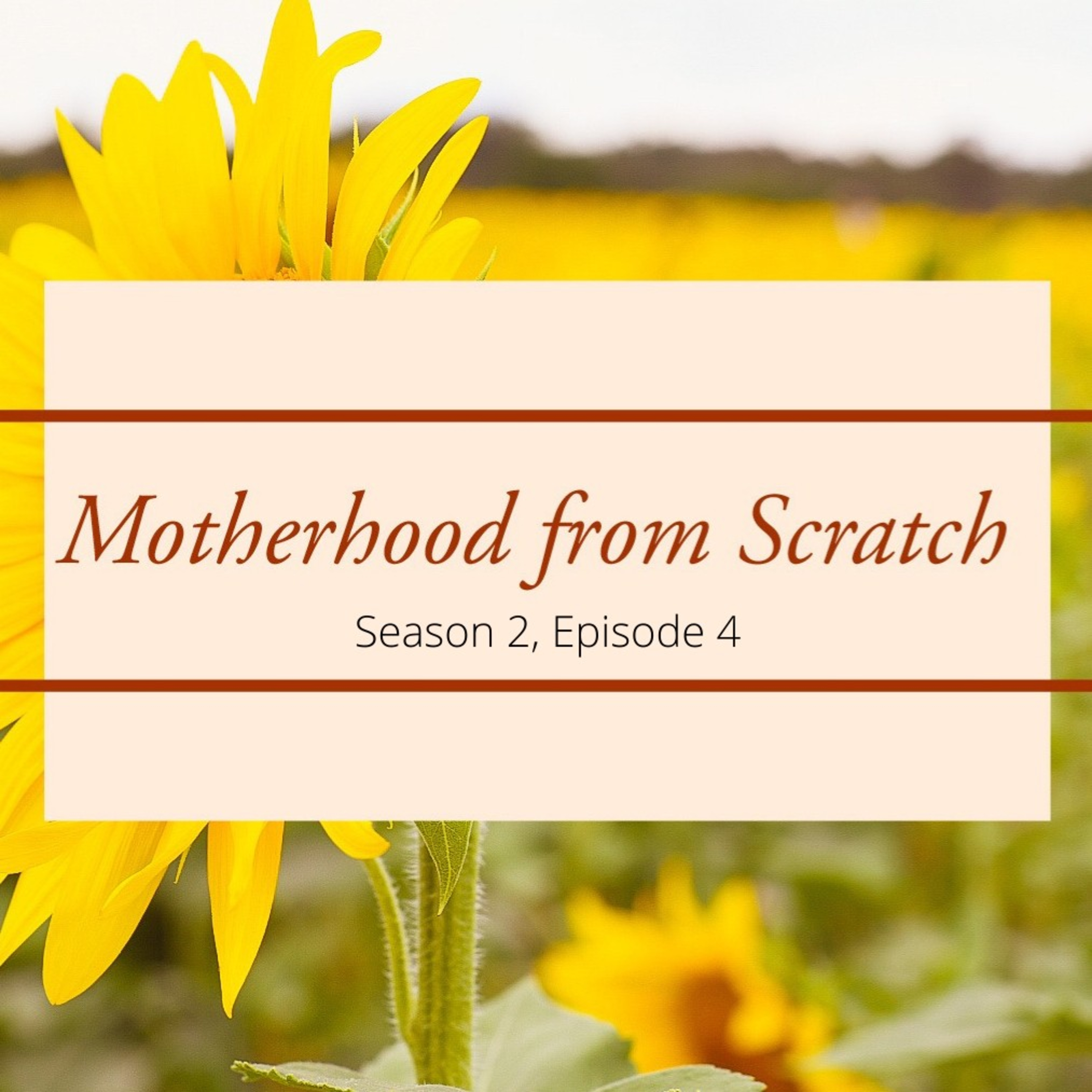 Motherhood from Scratch
