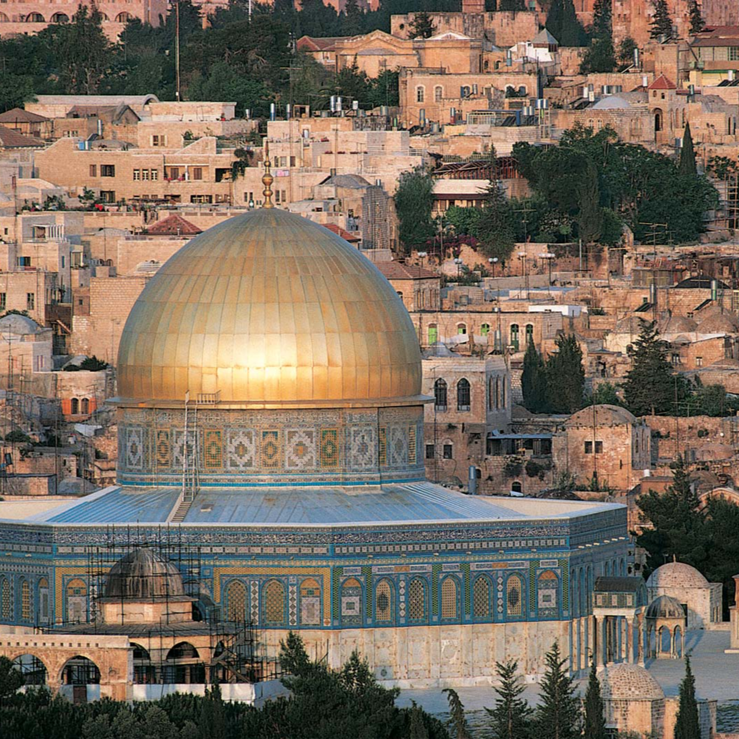 The Palestinians