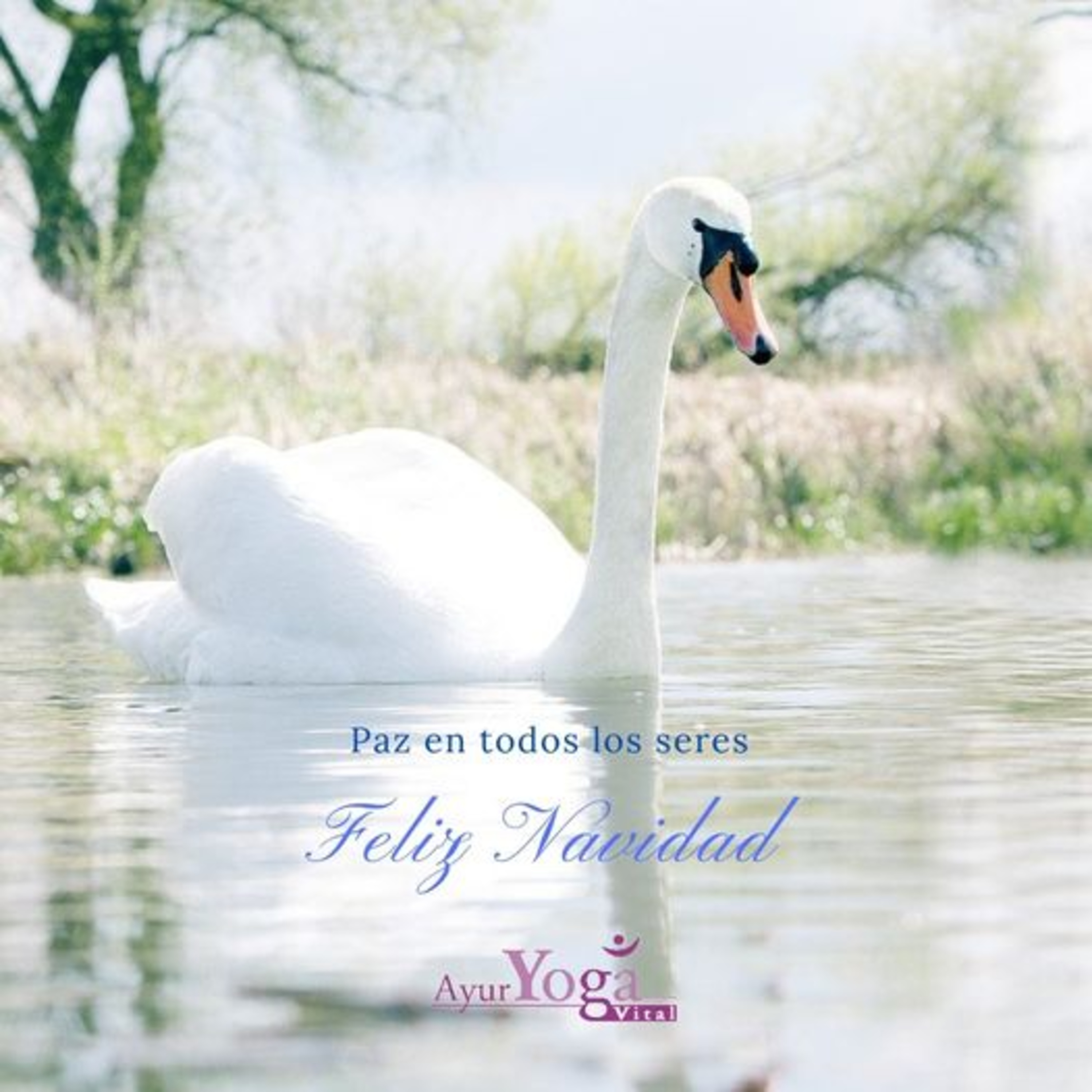 Meditación dedicada a la Navidad episode artwork