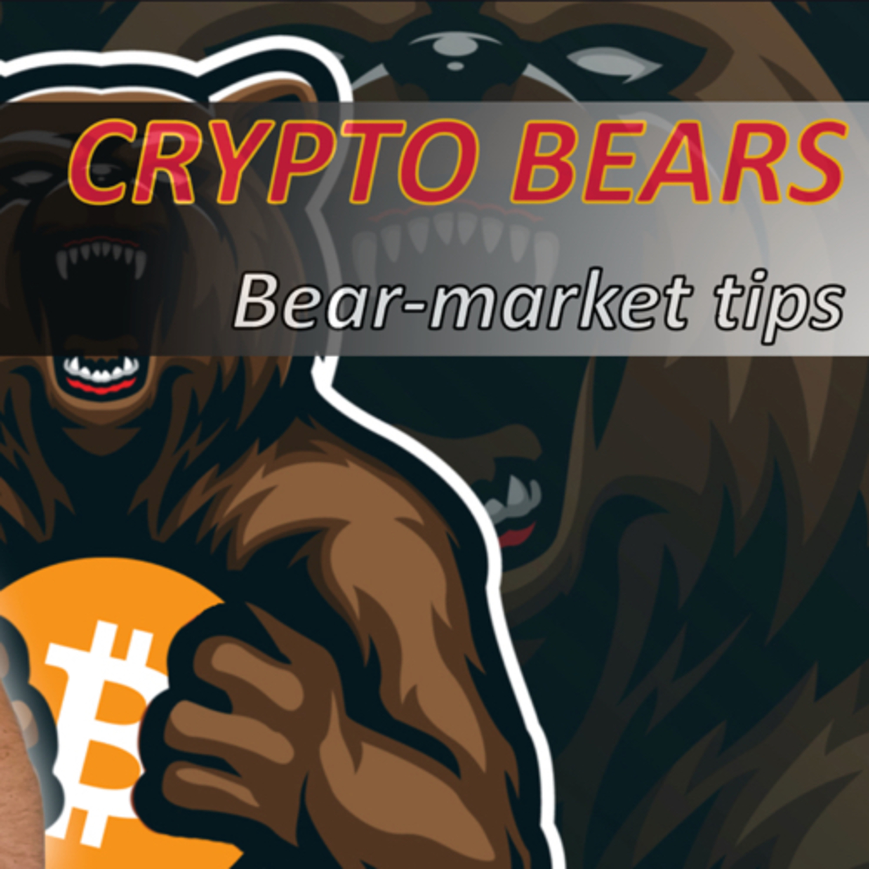 Tim’s CryptoClub