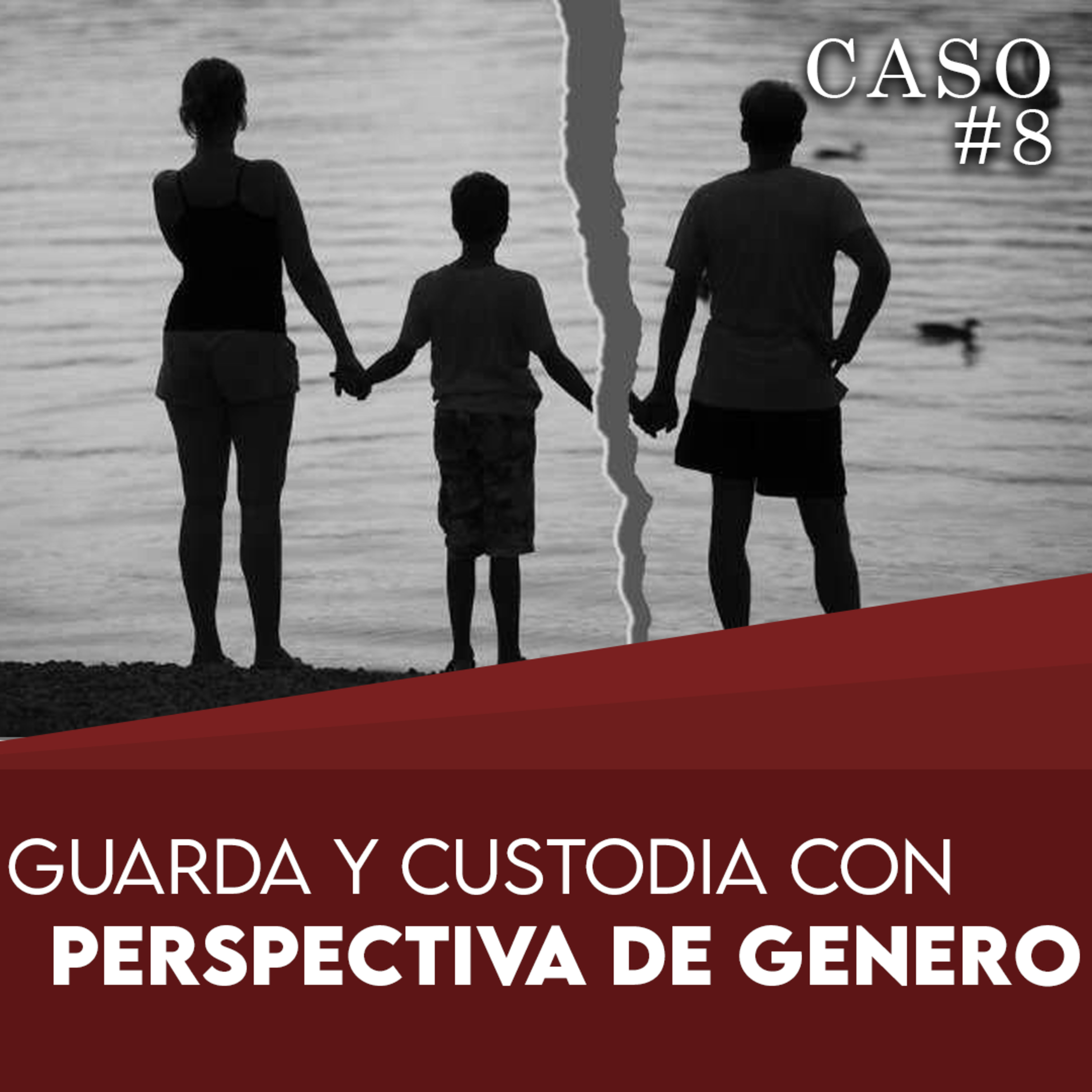 CASOS LEGALES PARA SIMPLES MORTALES