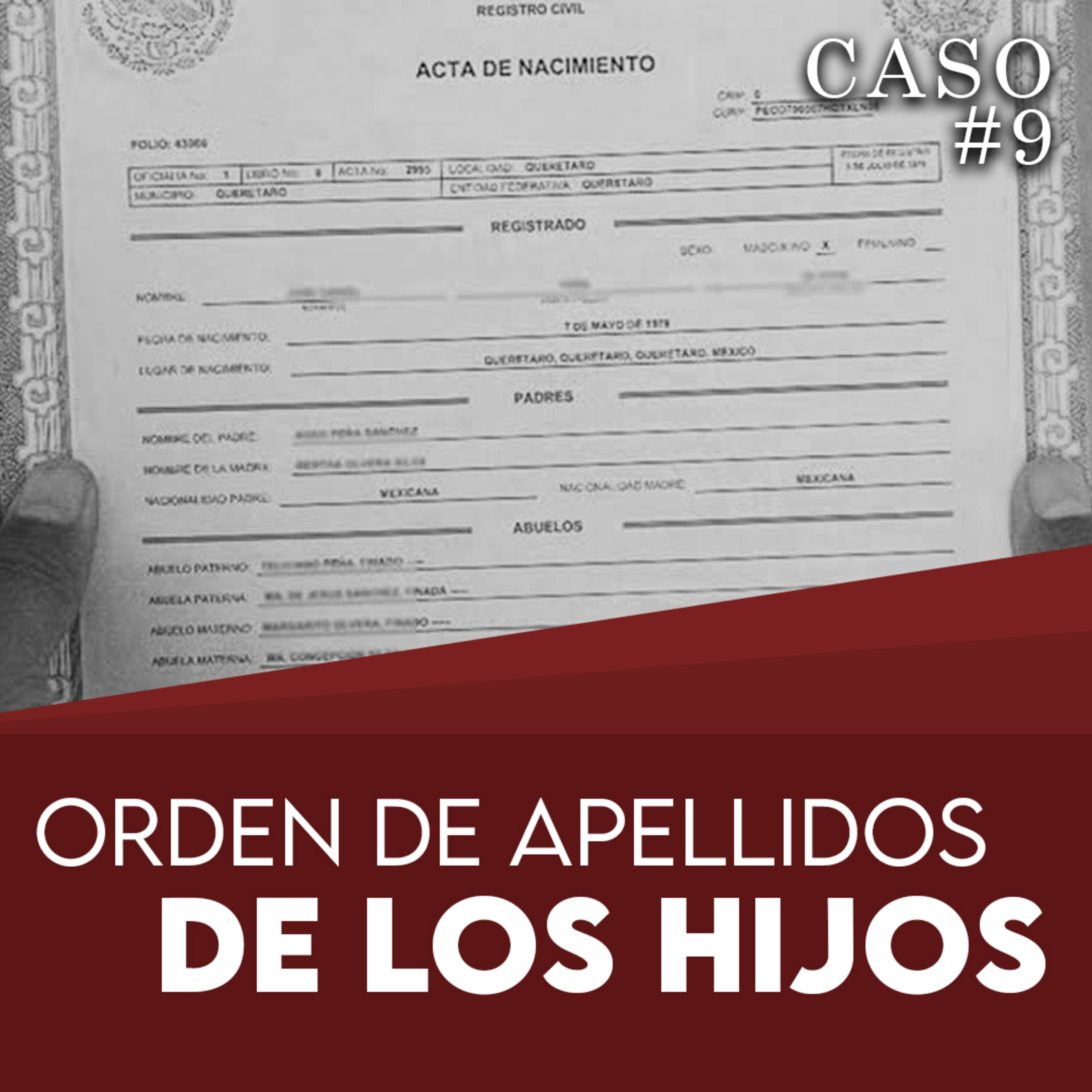 CASOS LEGALES PARA SIMPLES MORTALES