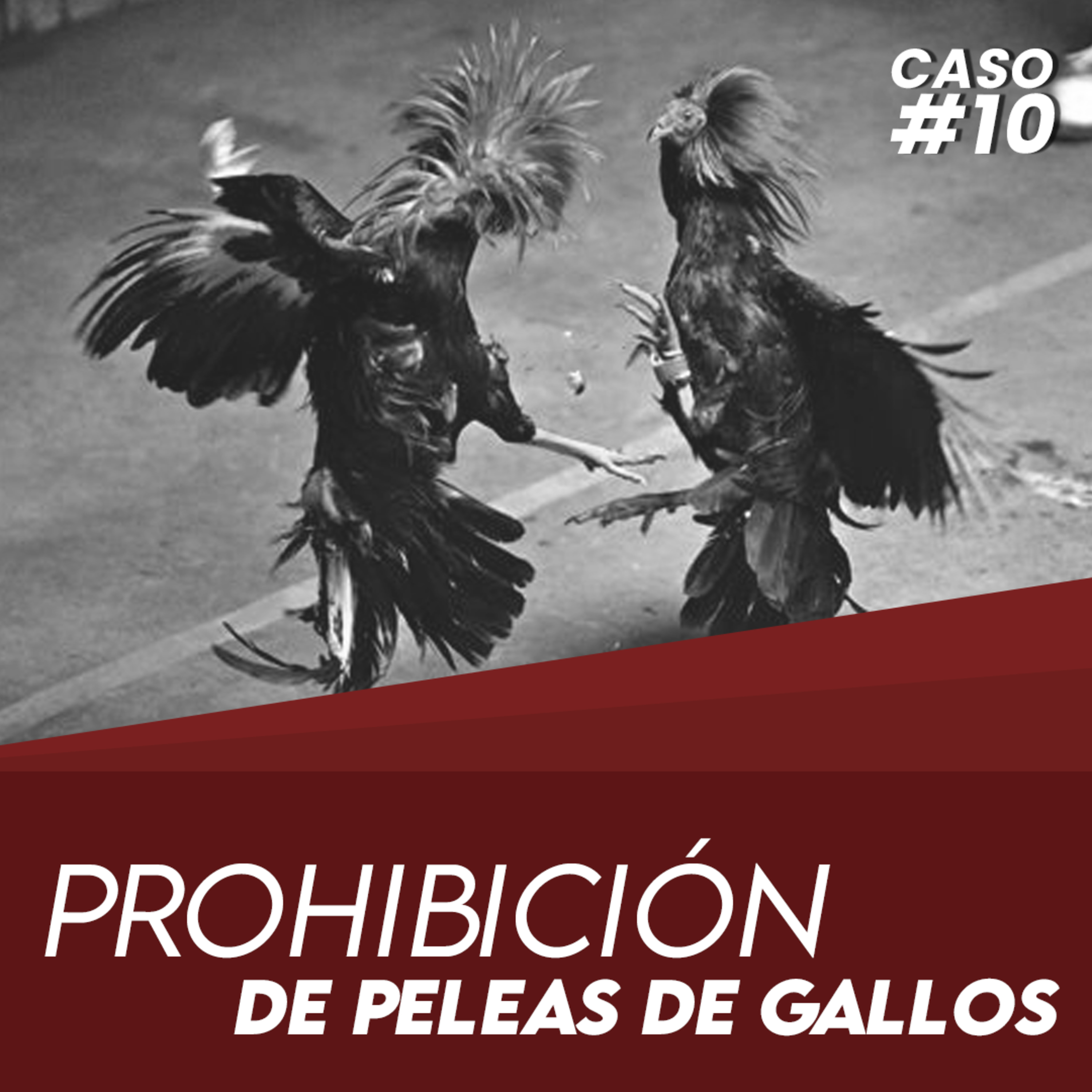 CASOS LEGALES PARA SIMPLES MORTALES