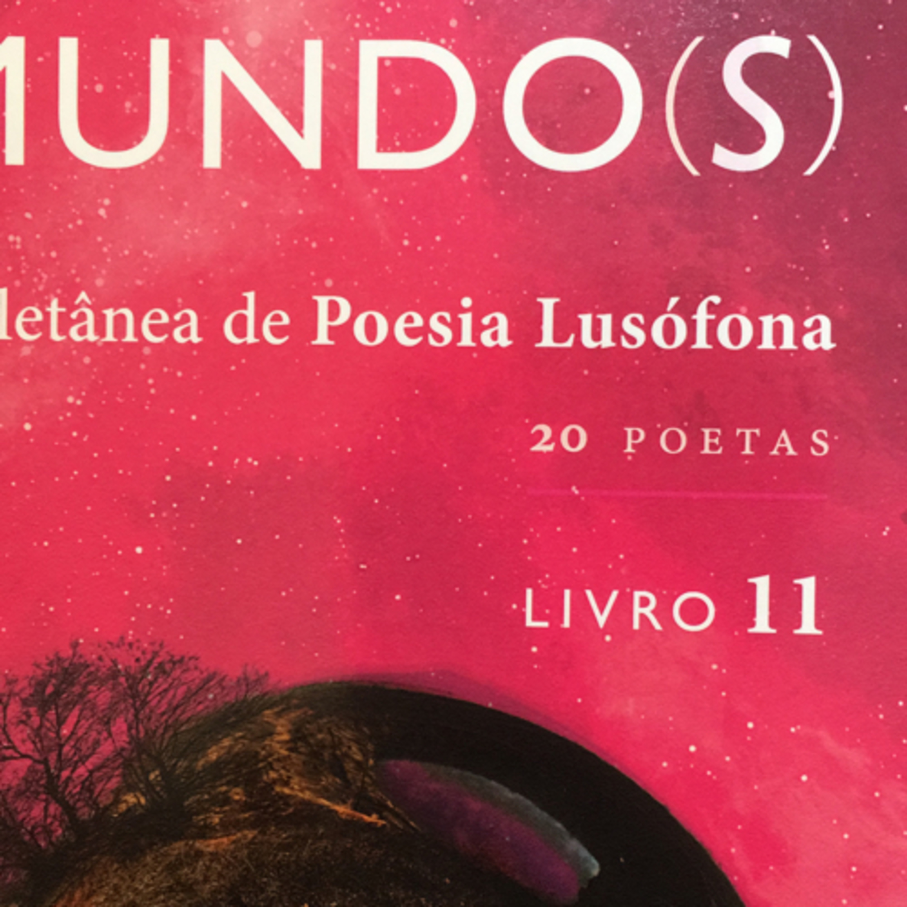 Poemas de Rosa Luizari