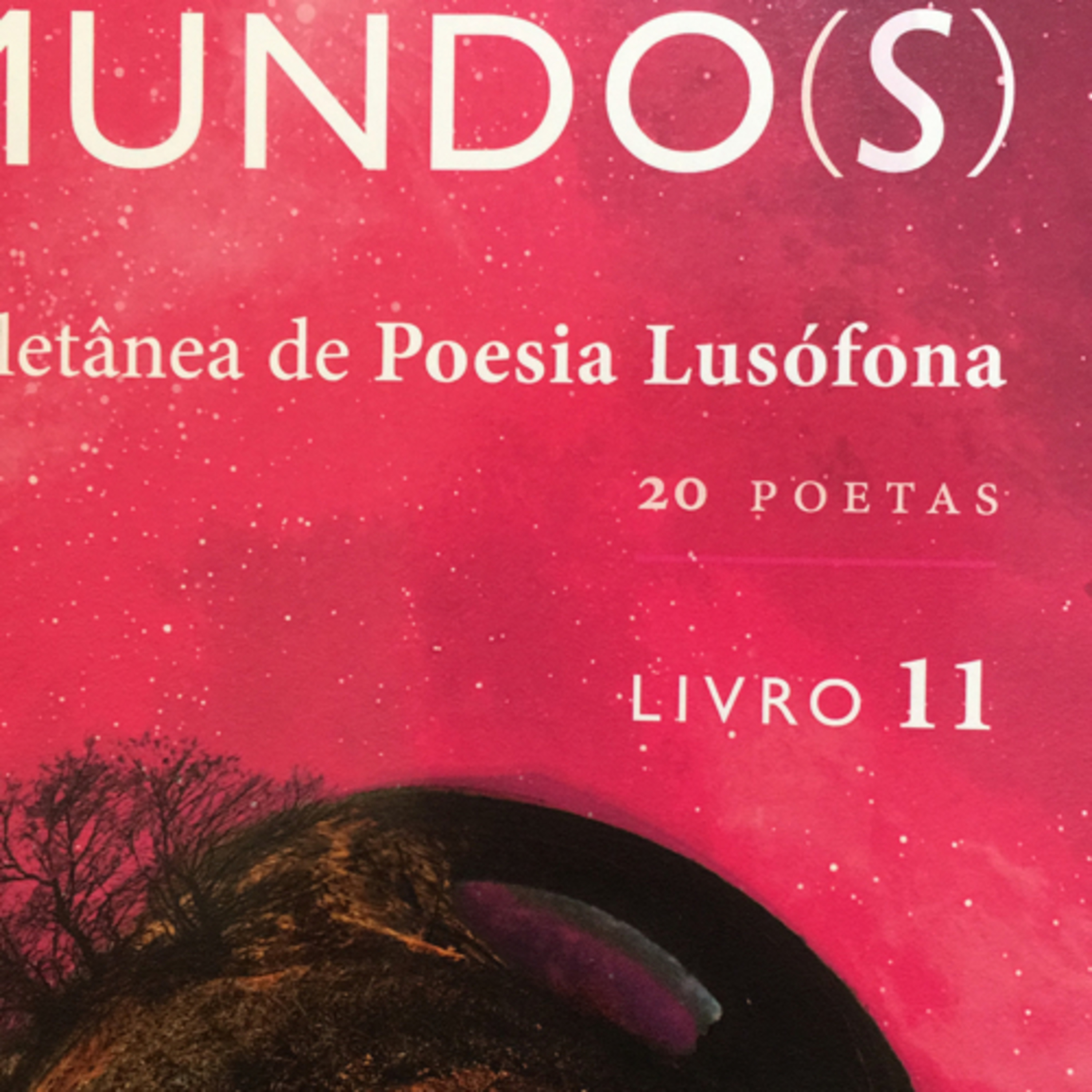 Poemas de Rosa Luizari
