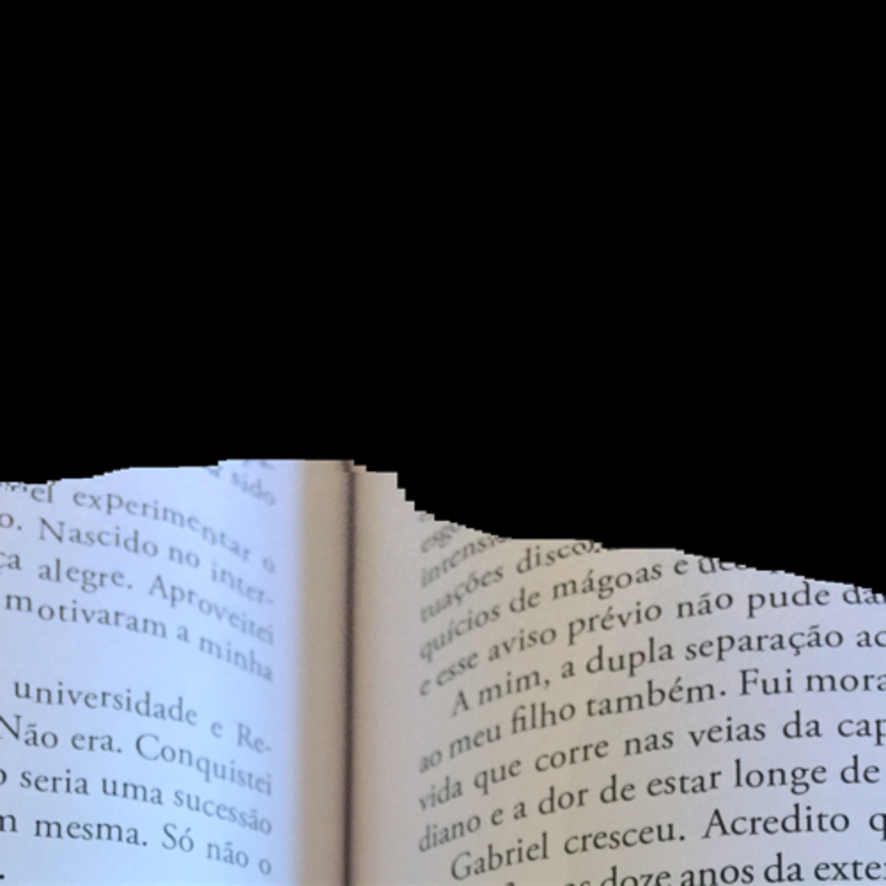 Poemas de Rosa Luizari