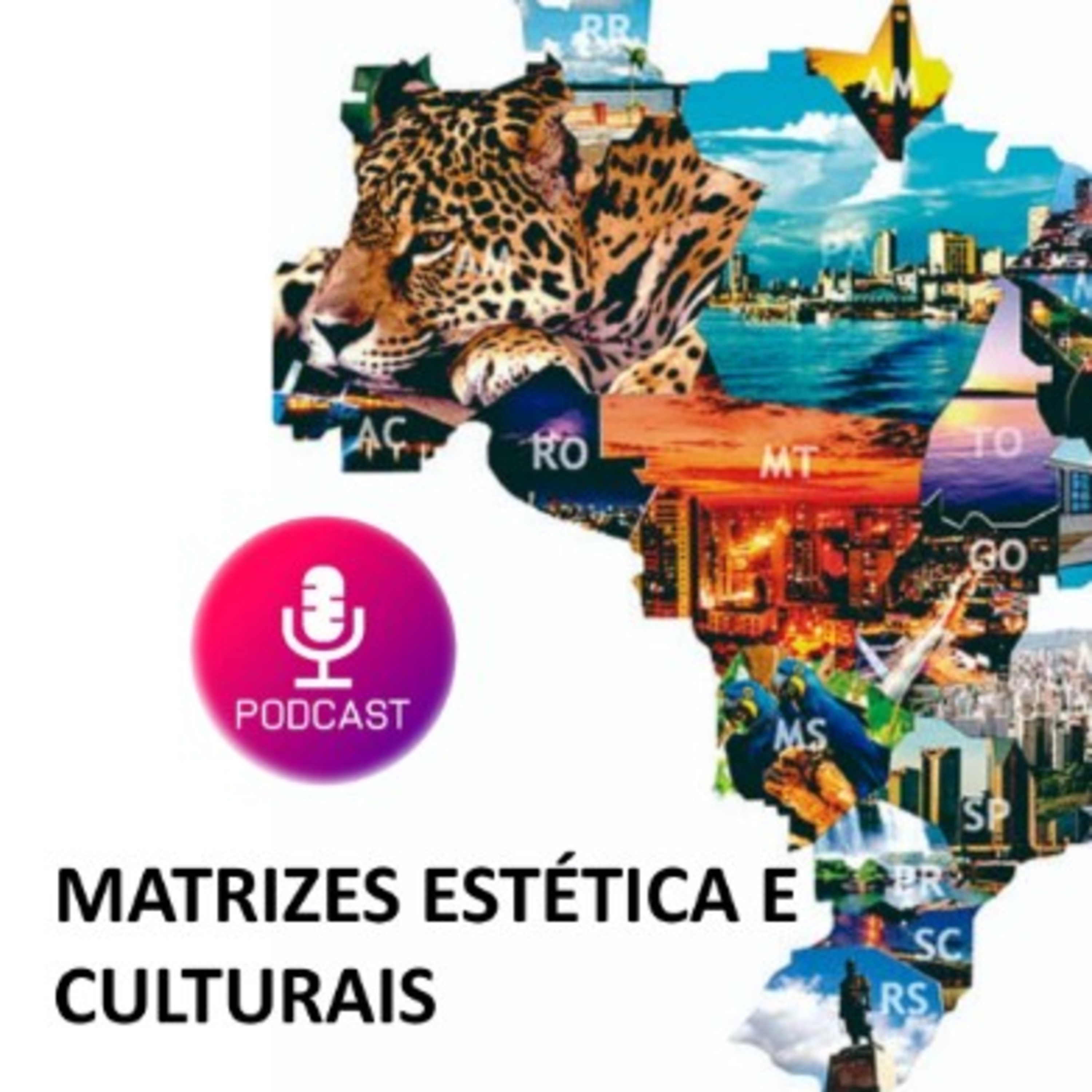 Professor Robson Macedo