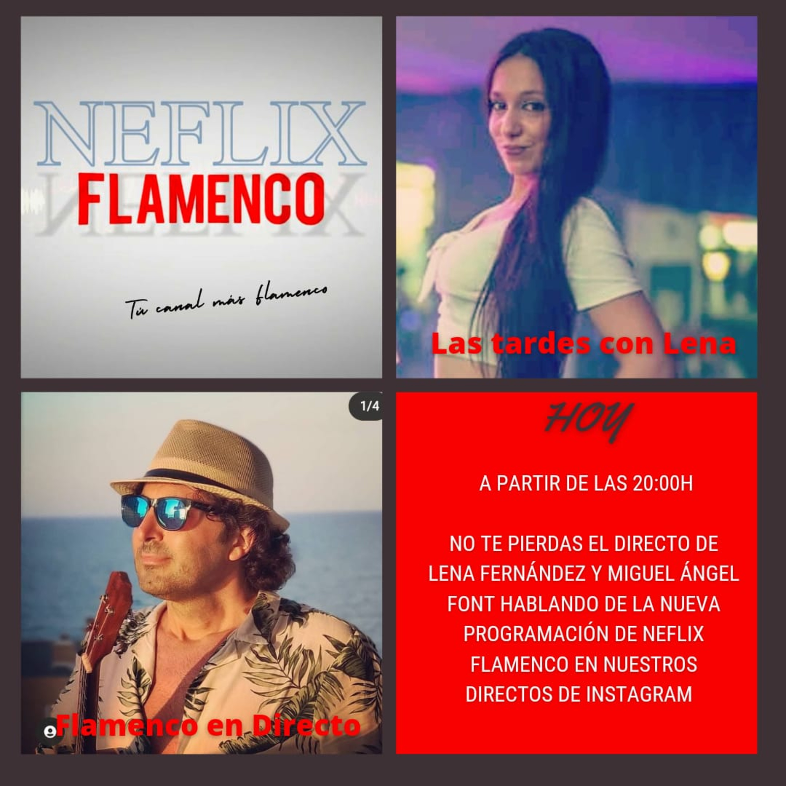 Neflix flamenco