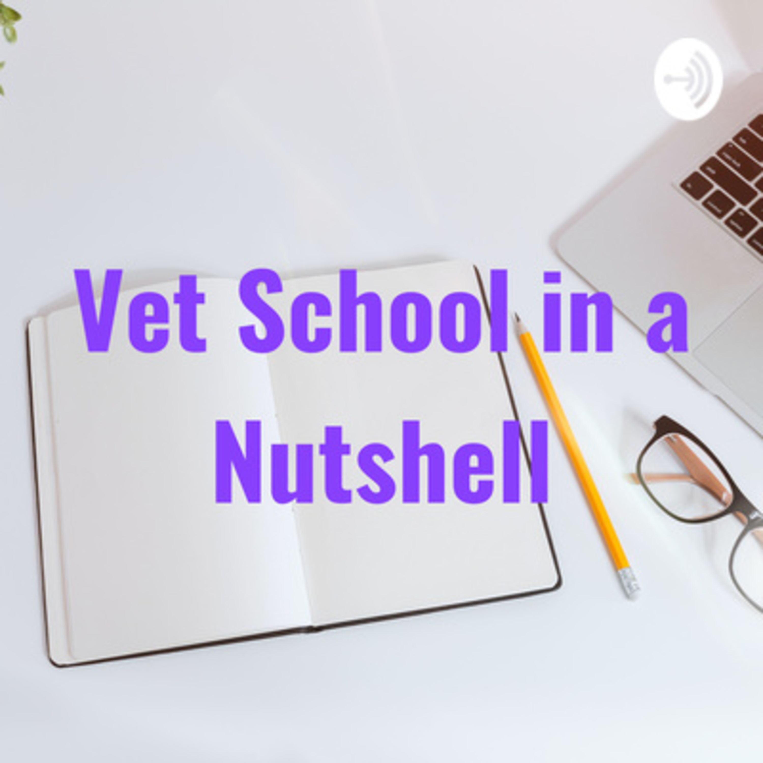 Vet School in a Nutshell