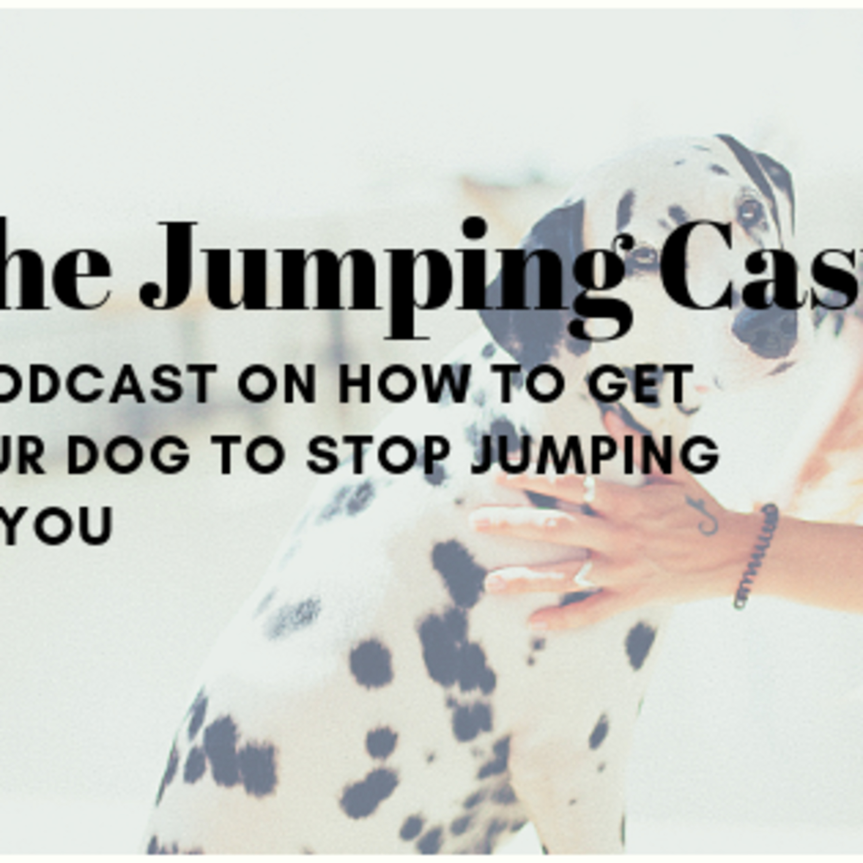 The Jumping Cast- A Podcast on How to Get Your Dog to Stop Jumping on You