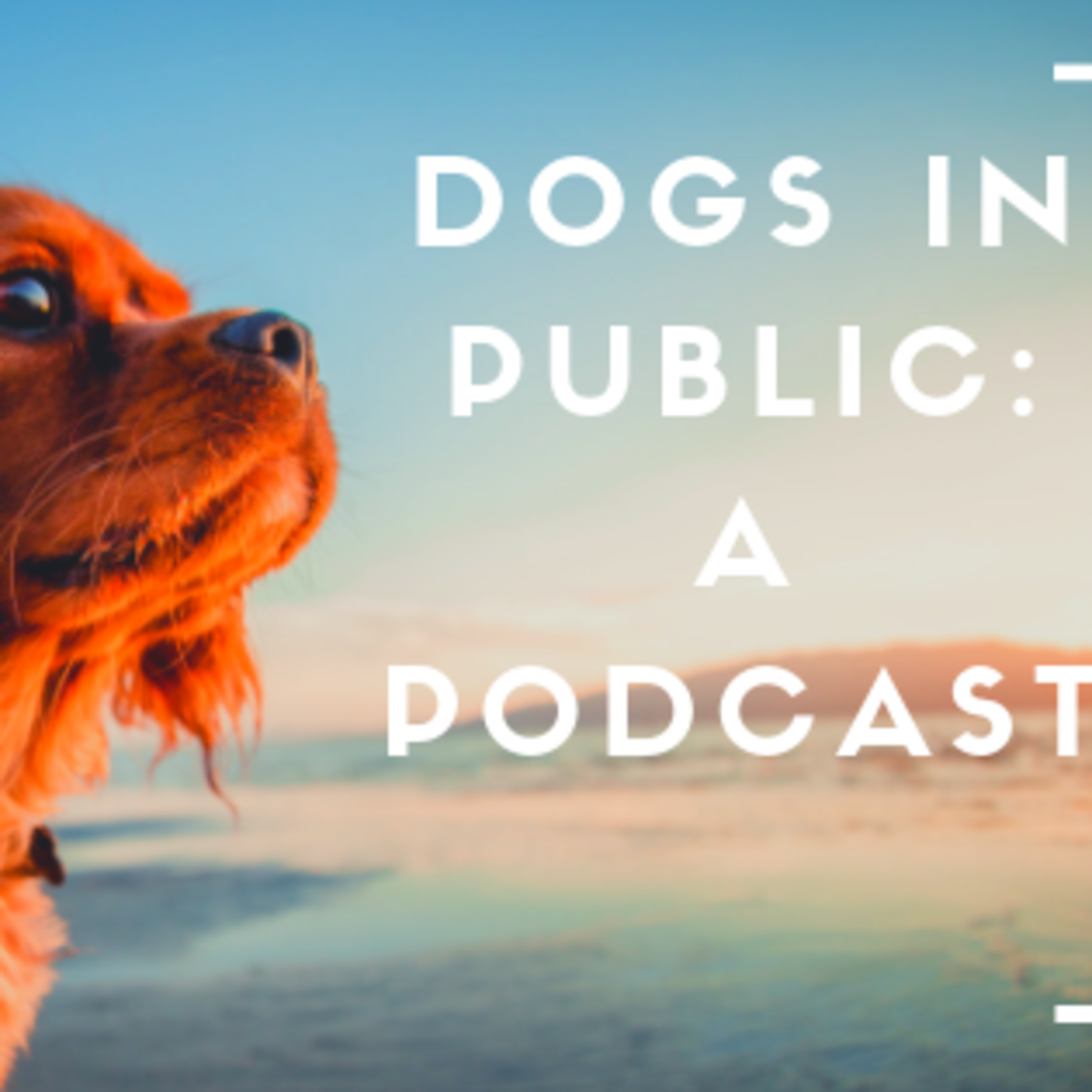 Dogs in Public- Both Sides of the Debate