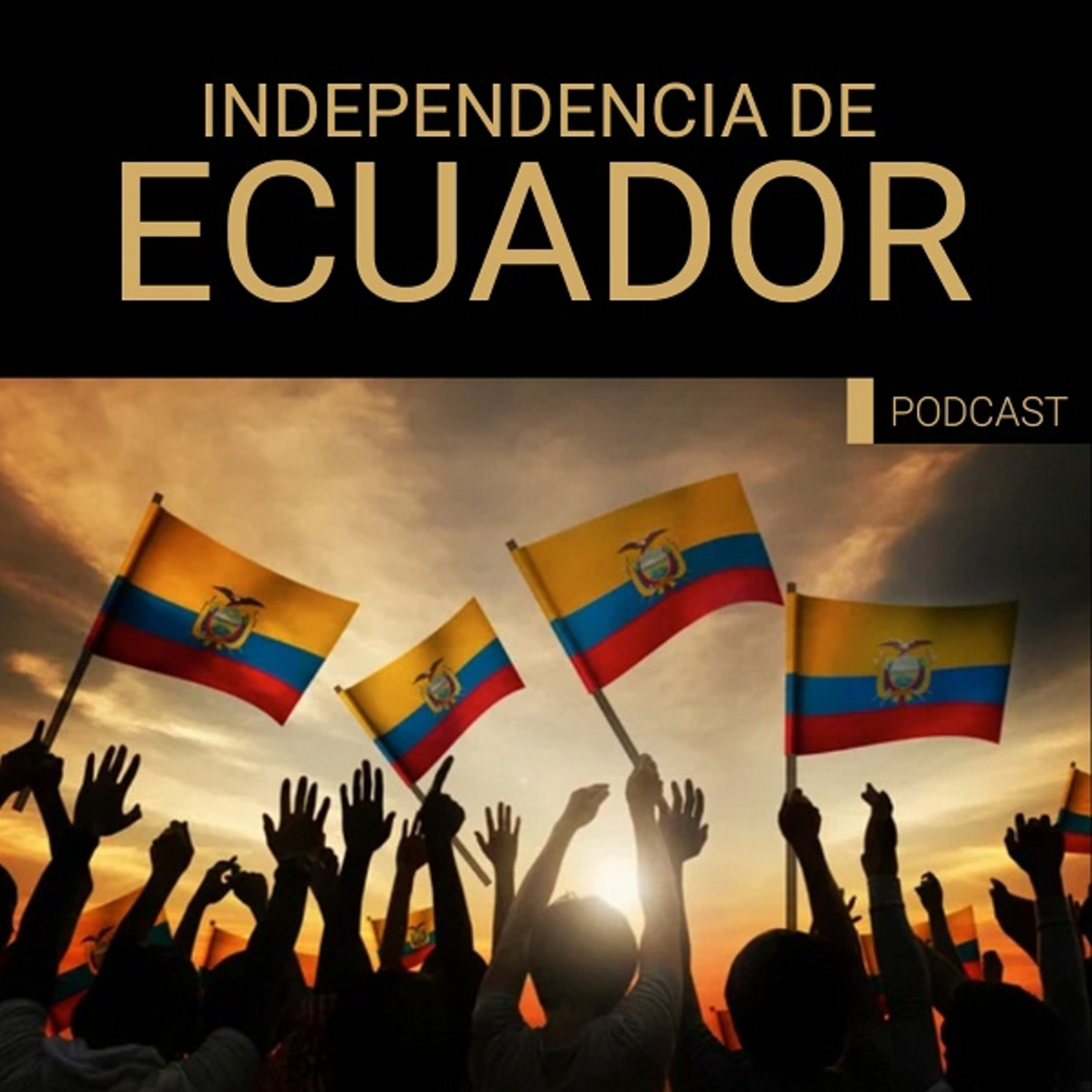 Portada de BM ONLINE