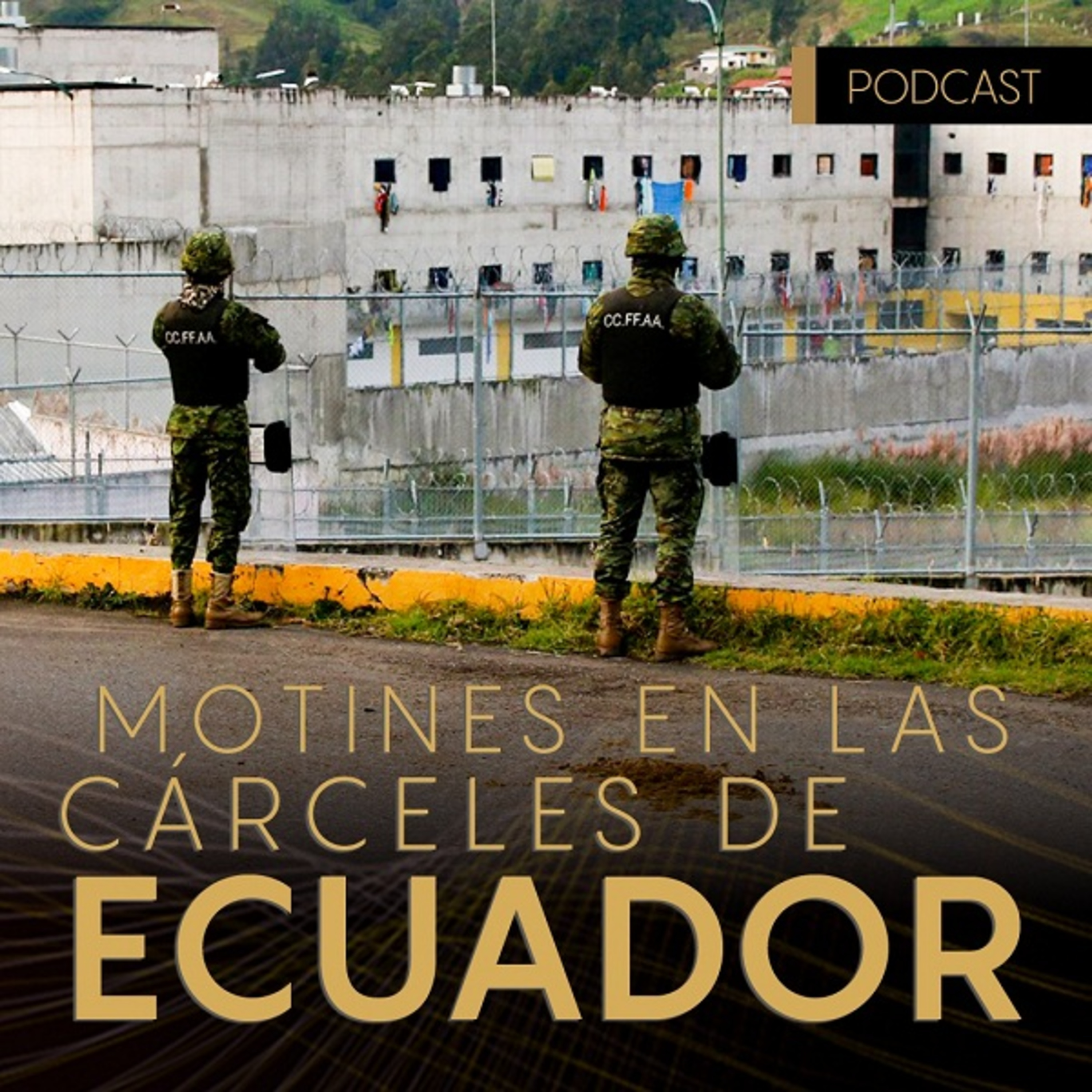 Portada de BM ONLINE