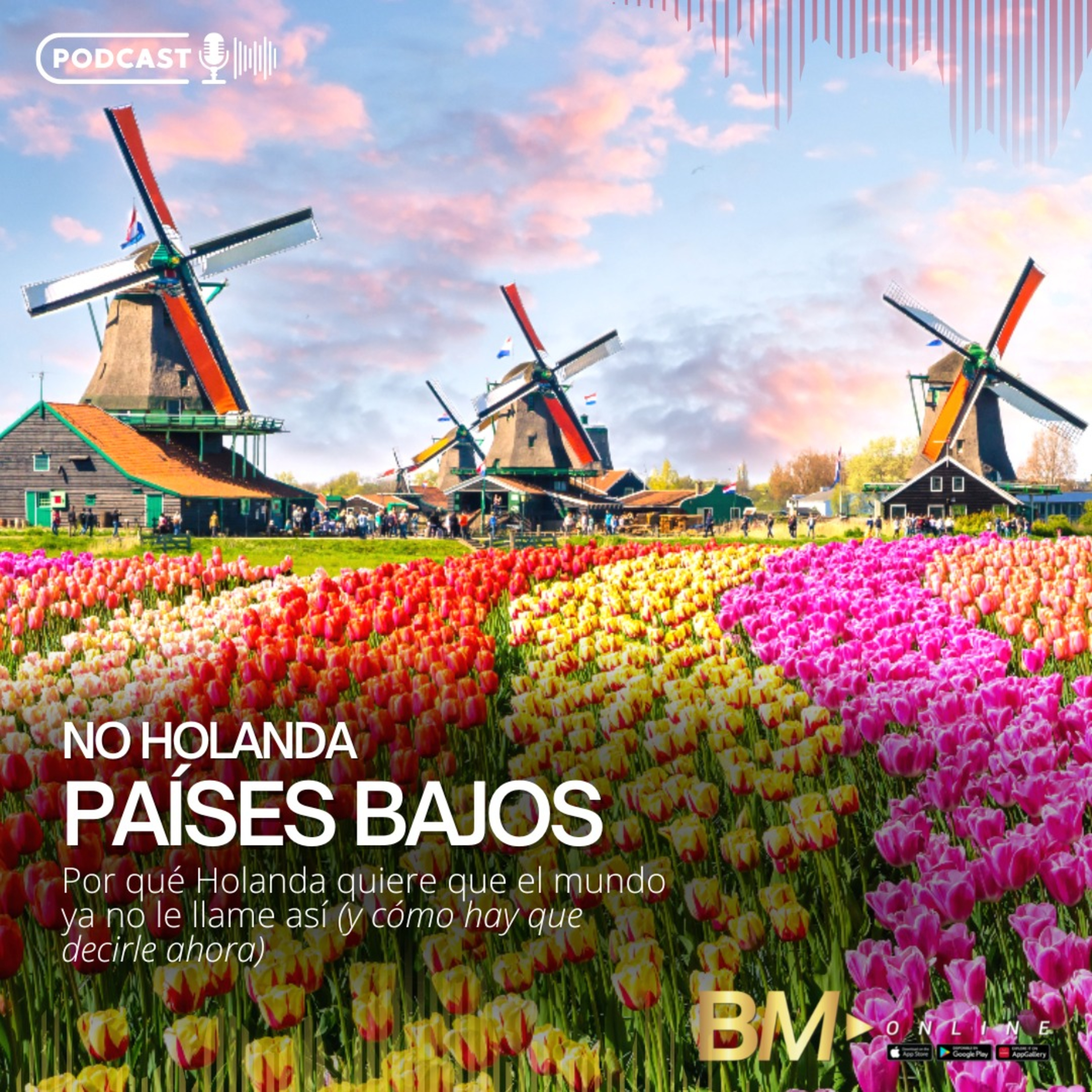 Portada de BM ONLINE