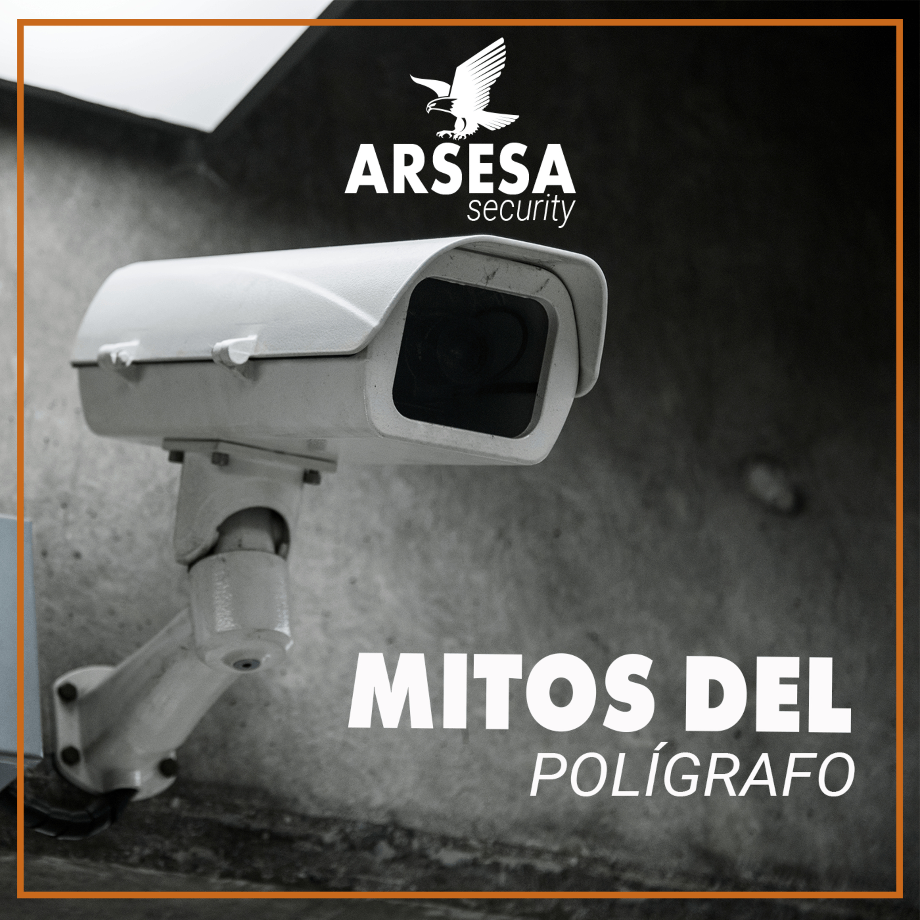 Hablemos de seguridad