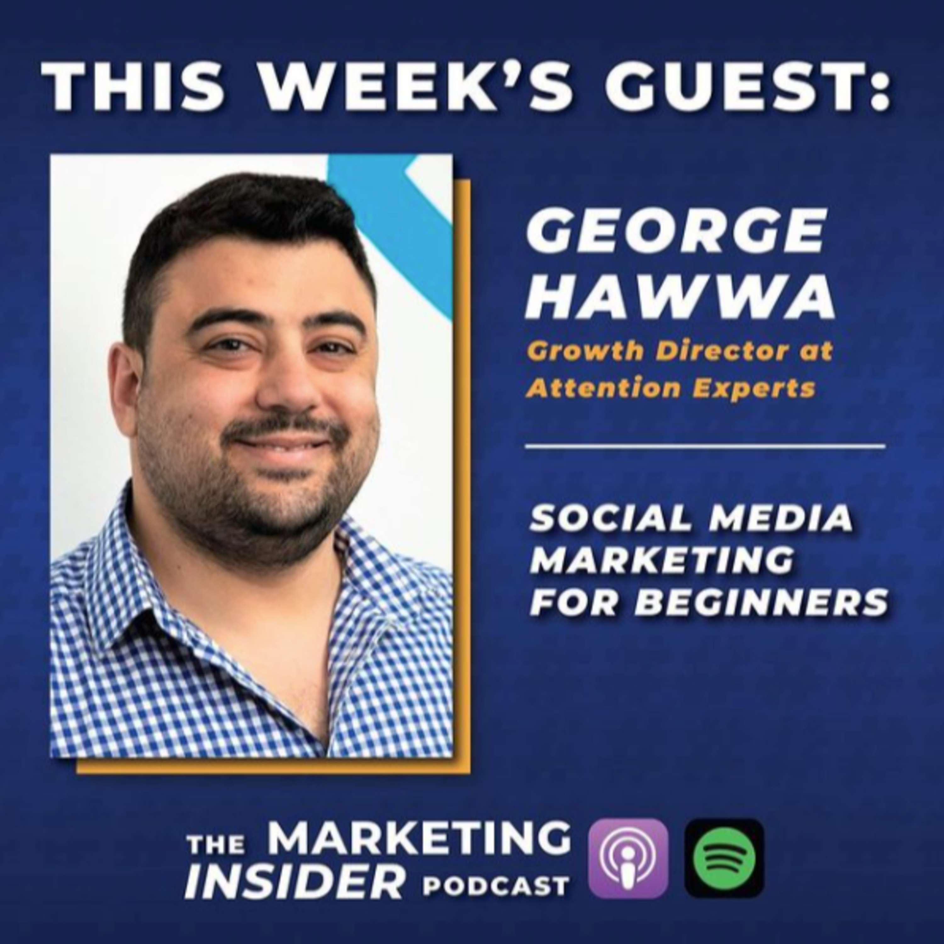 the marketing insider