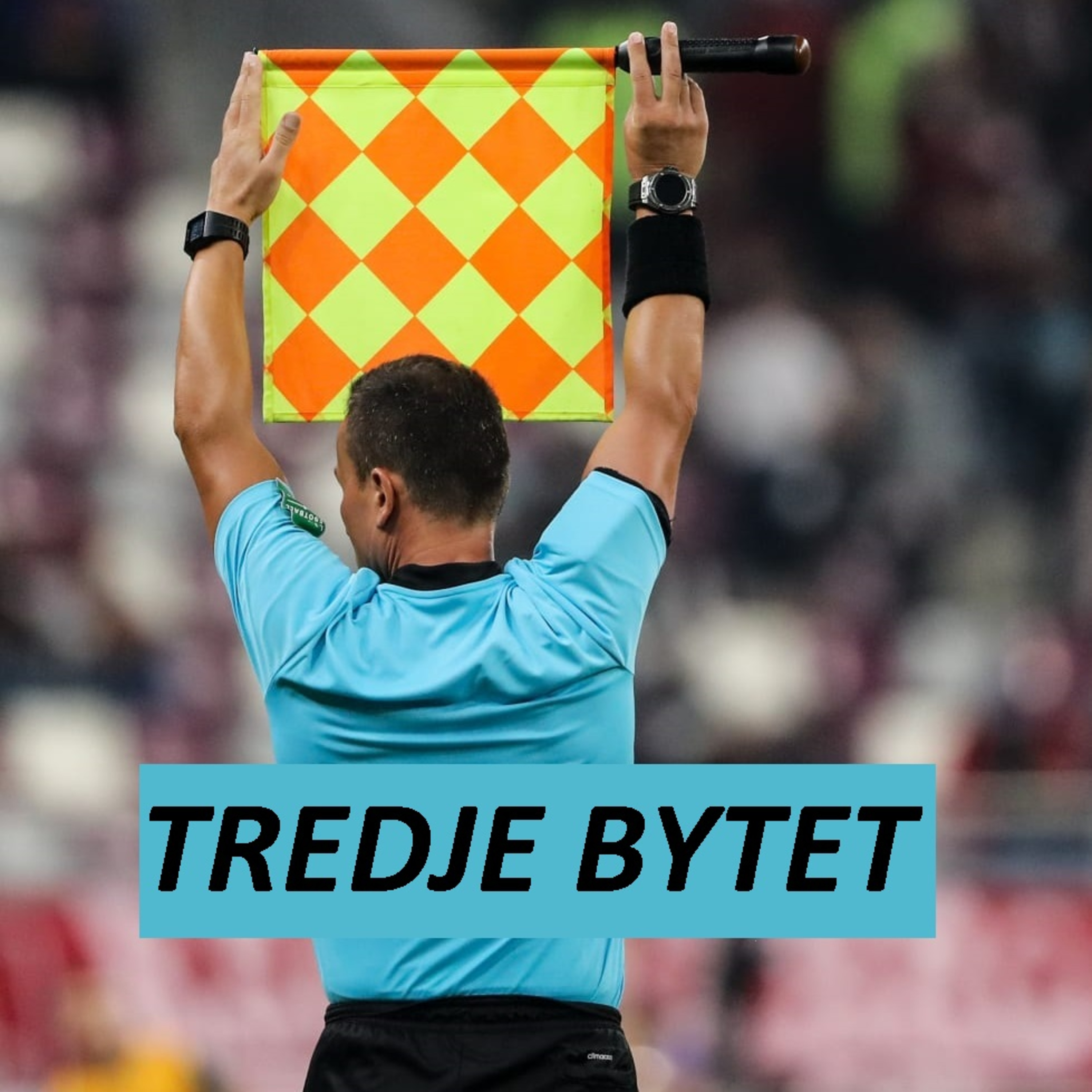 Tredje Bytet