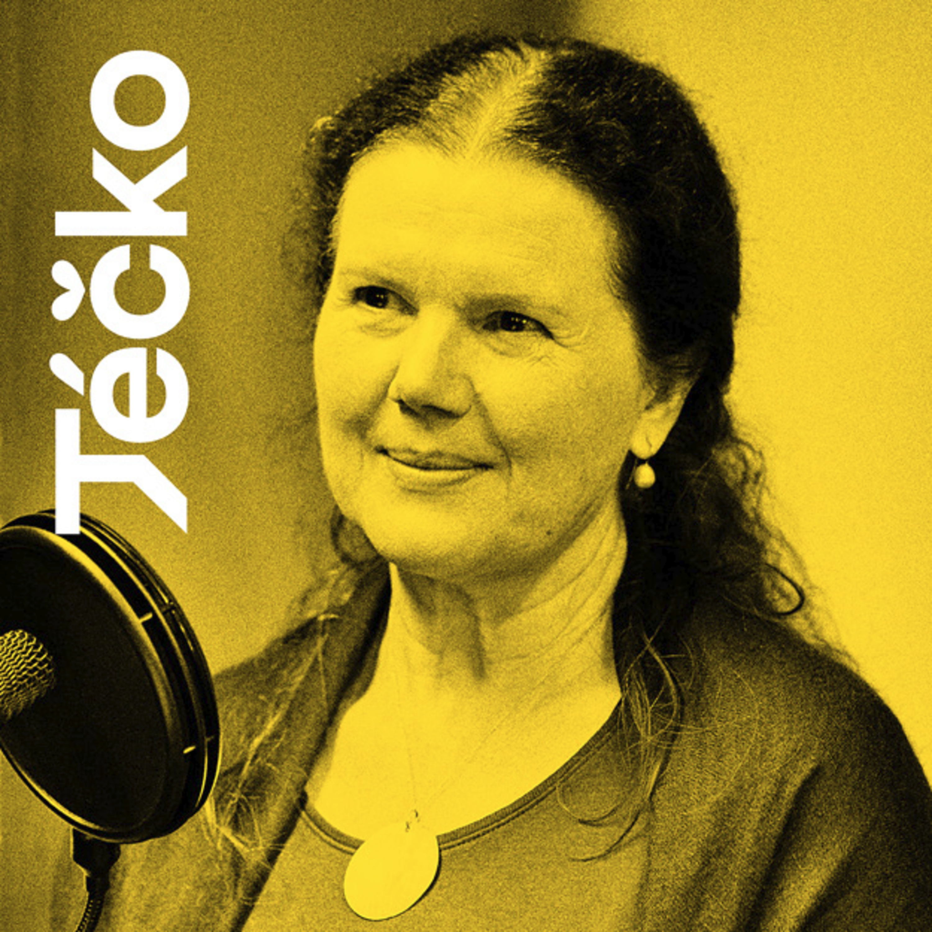 Ludmila Vašková: „Ve výtvarném umění možnosti nikdy nekončí….“  episode artwork