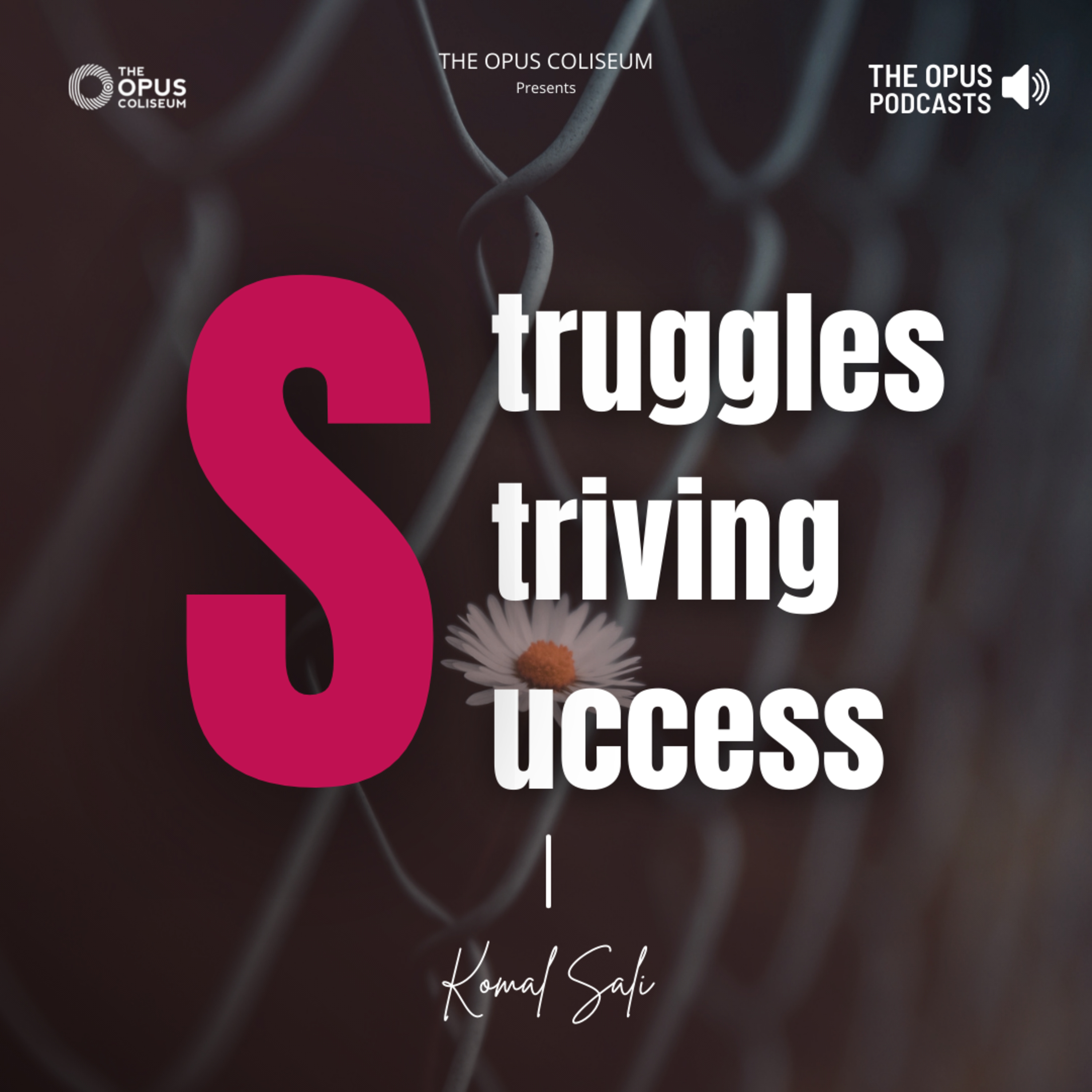 Struggles Striving Success episode artwork