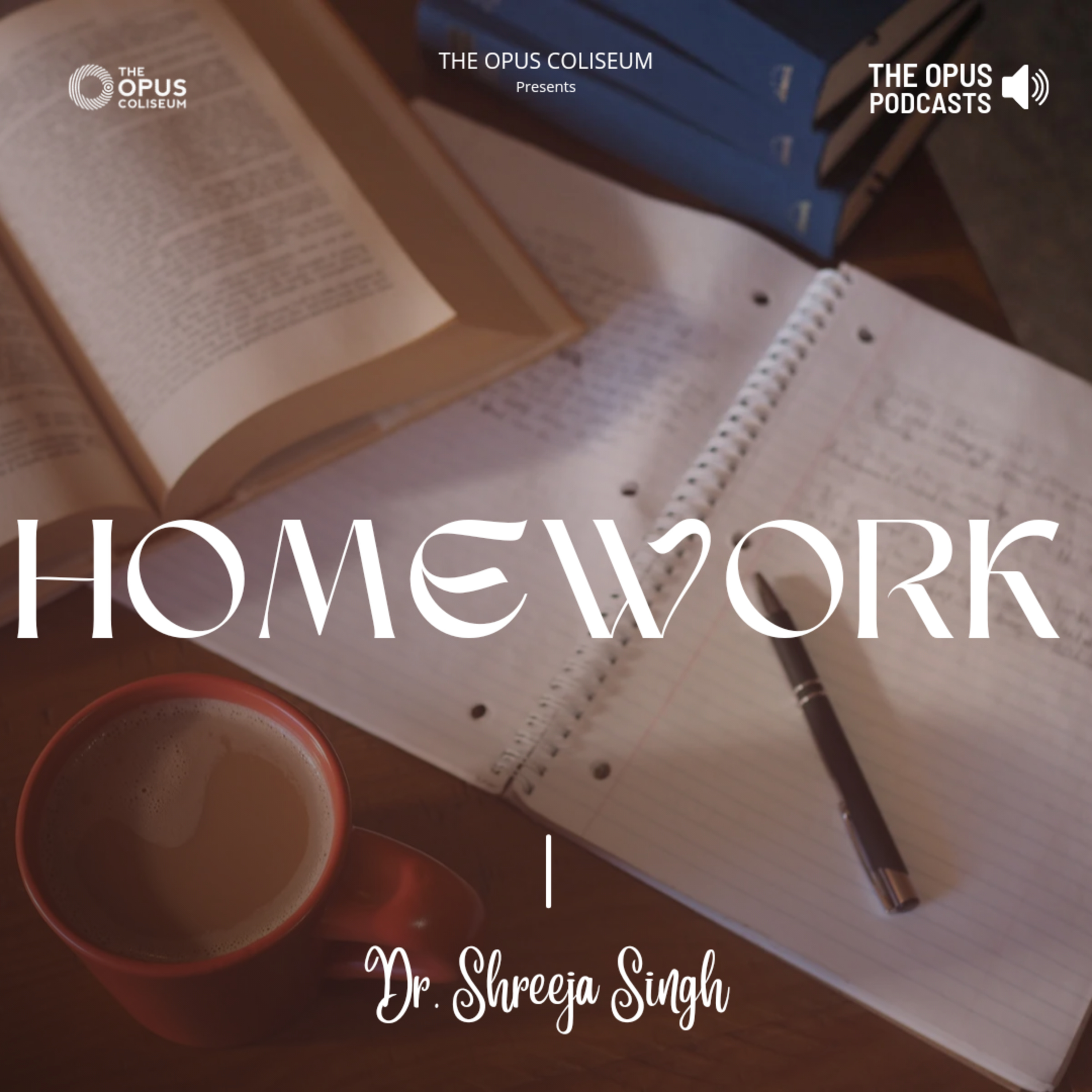 Homework episode artwork