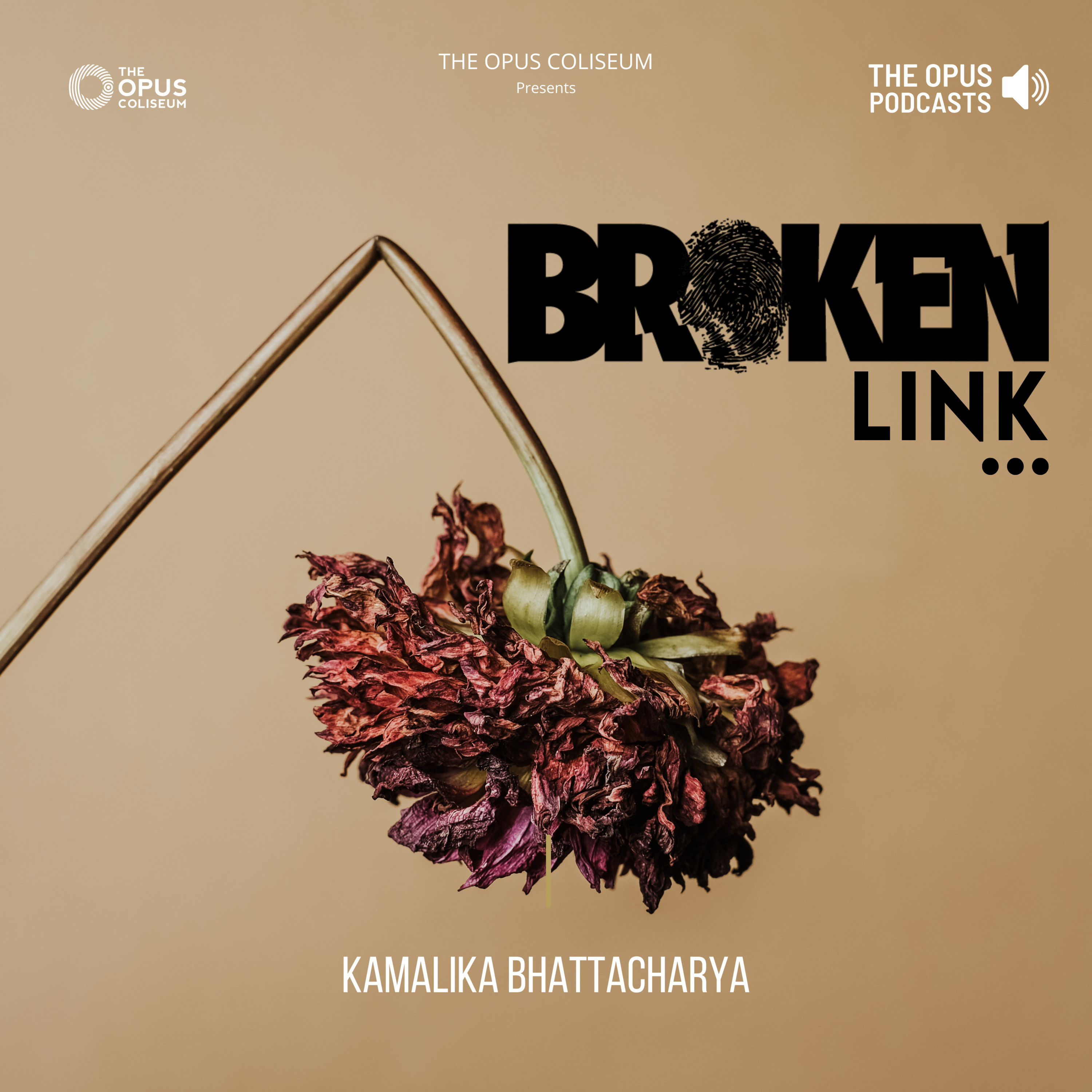 Broken Link episode artwork
