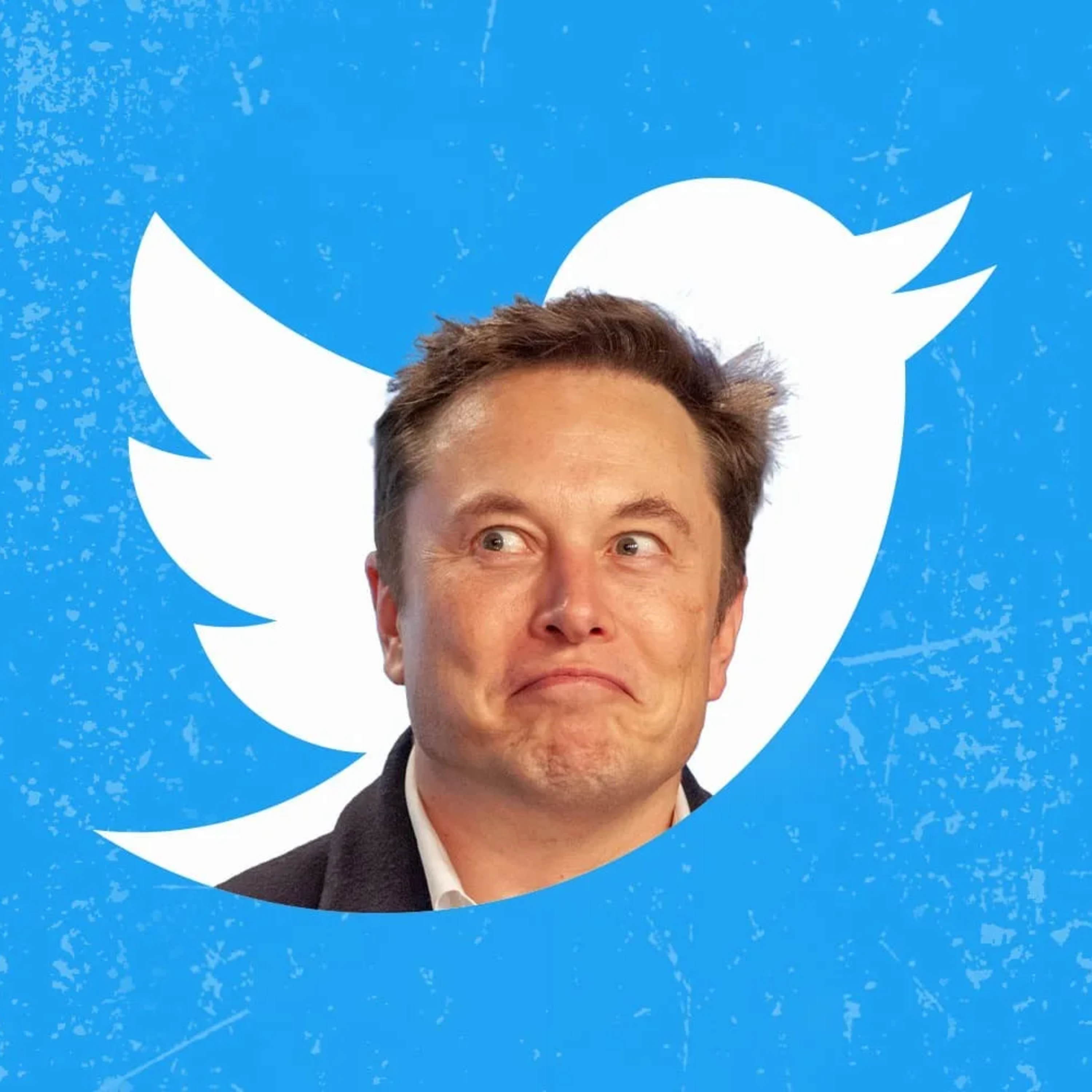 朝令夕改，還是創新行先？Elon Musk 預告：陸續有來 episode artwork