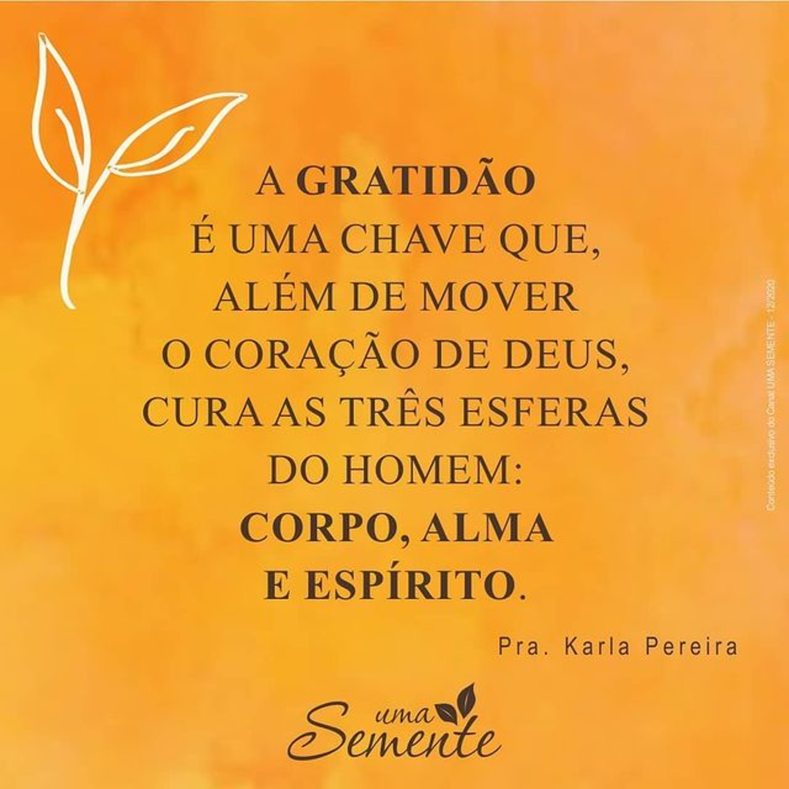 Uma Semente
