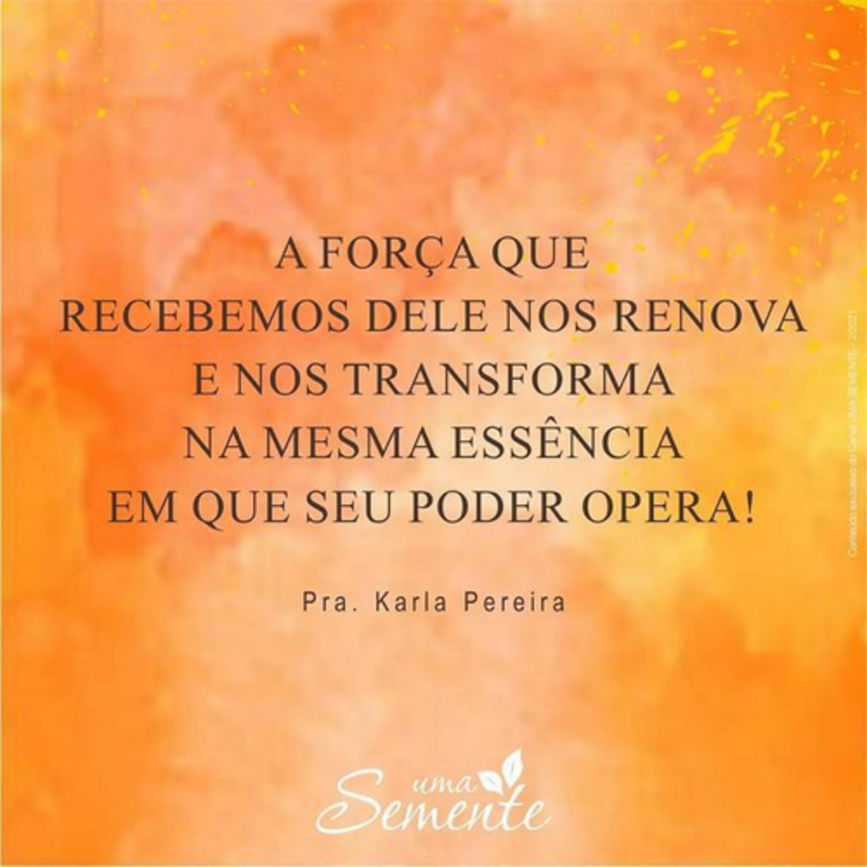 Uma Semente