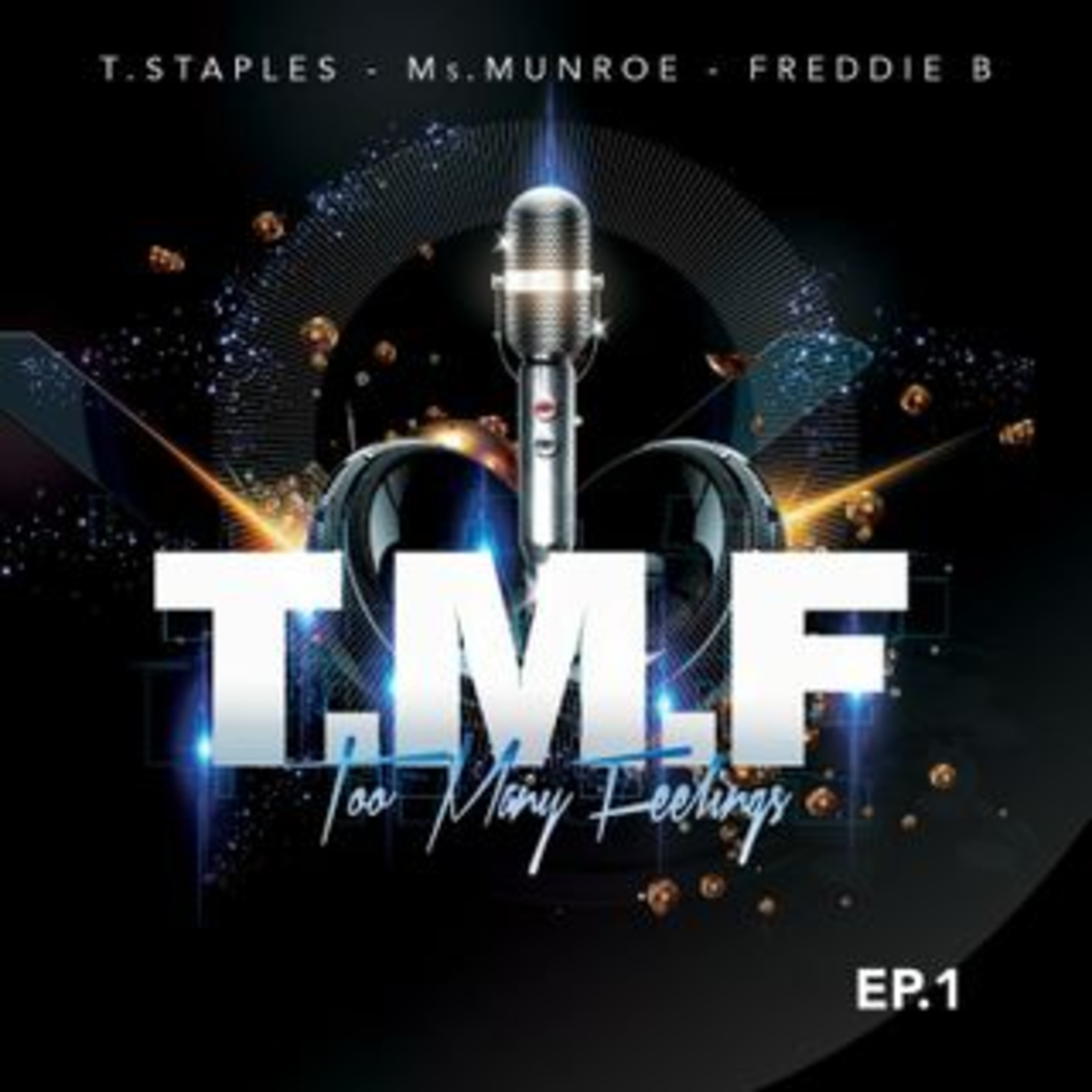 Too Many Feelings (T.M.F.)