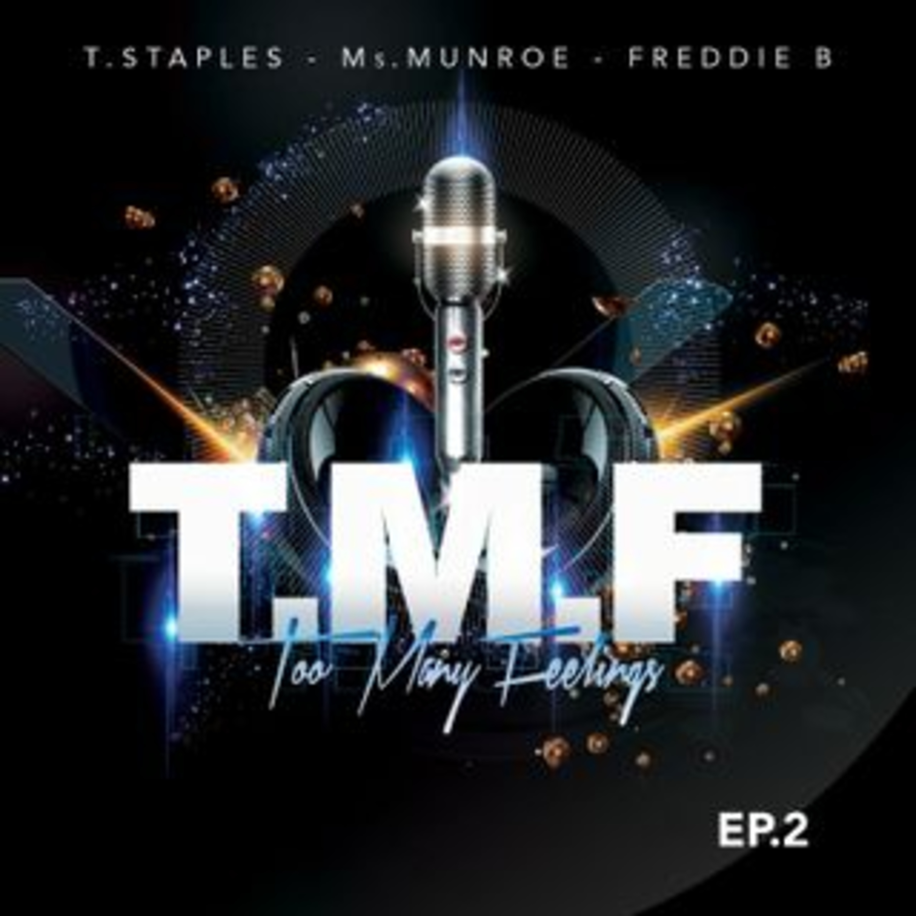 Too Many Feelings (T.M.F.)