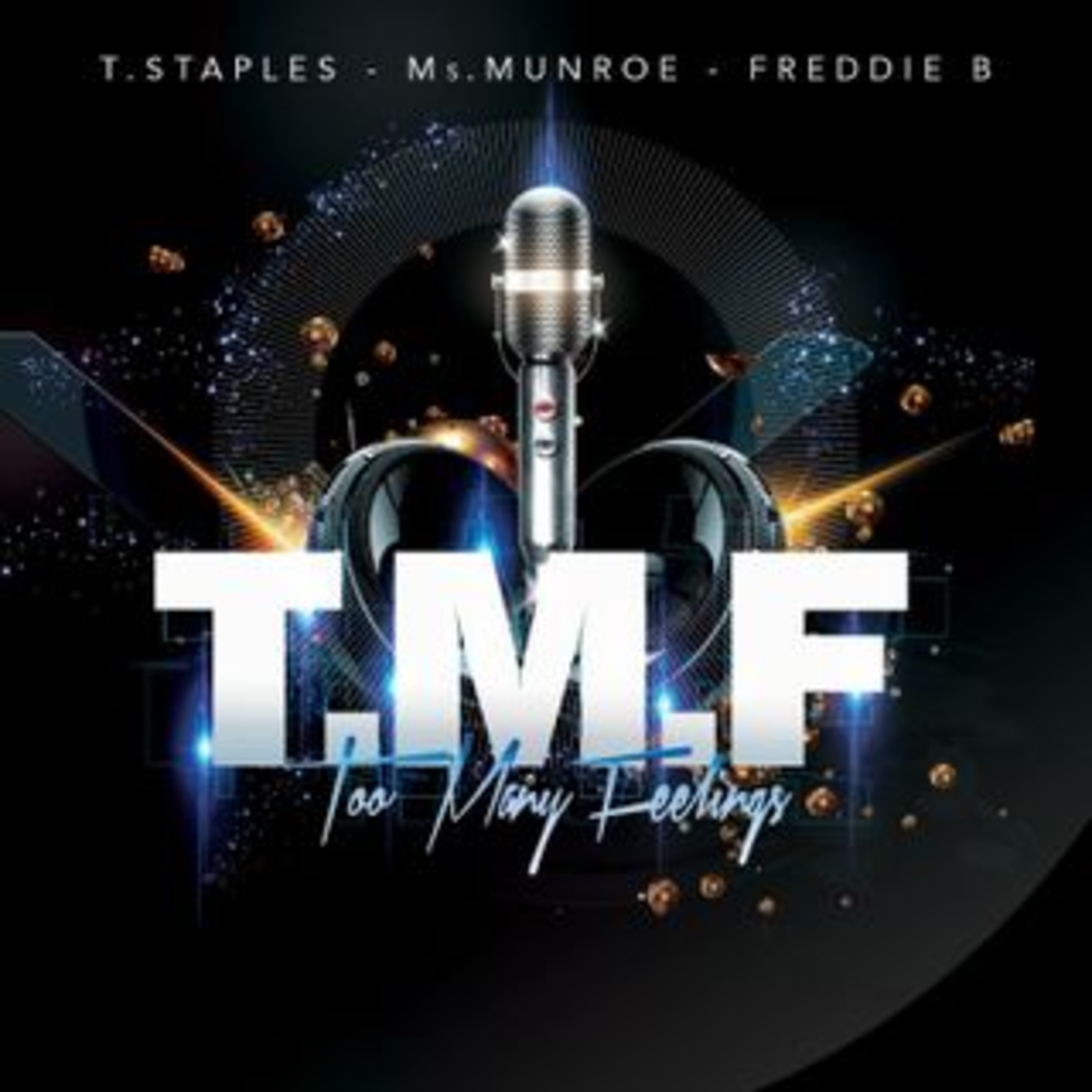 Too Many Feelings (T.M.F.)