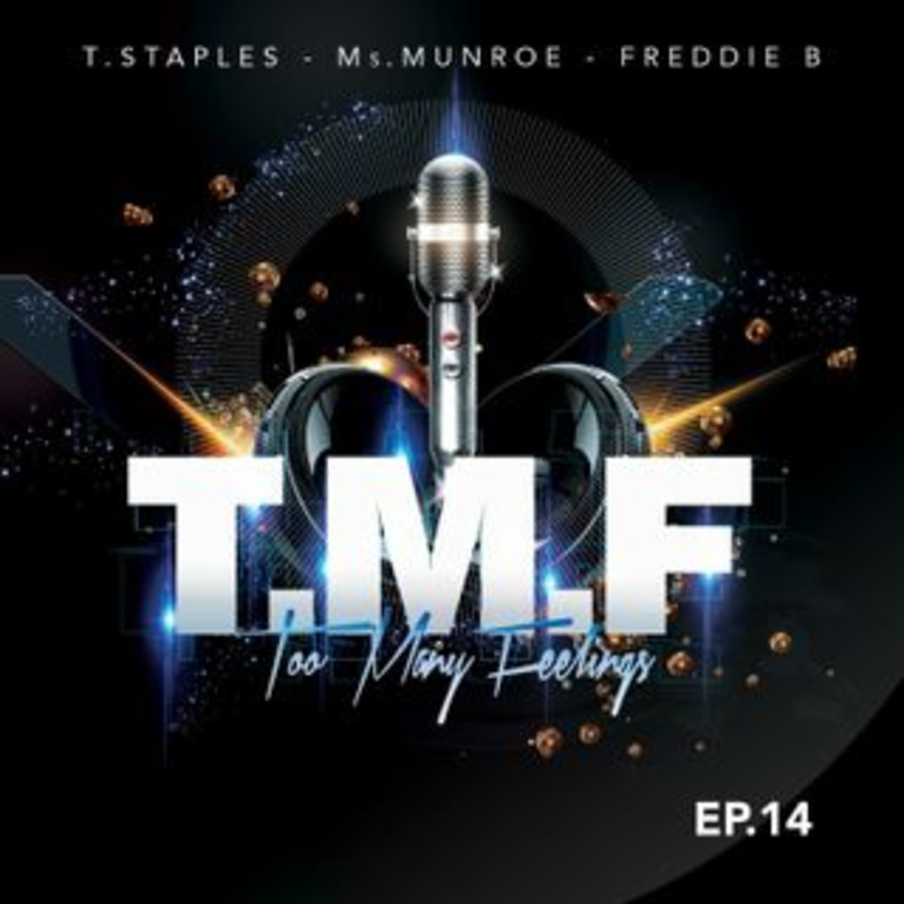 Too Many Feelings (T.M.F.)