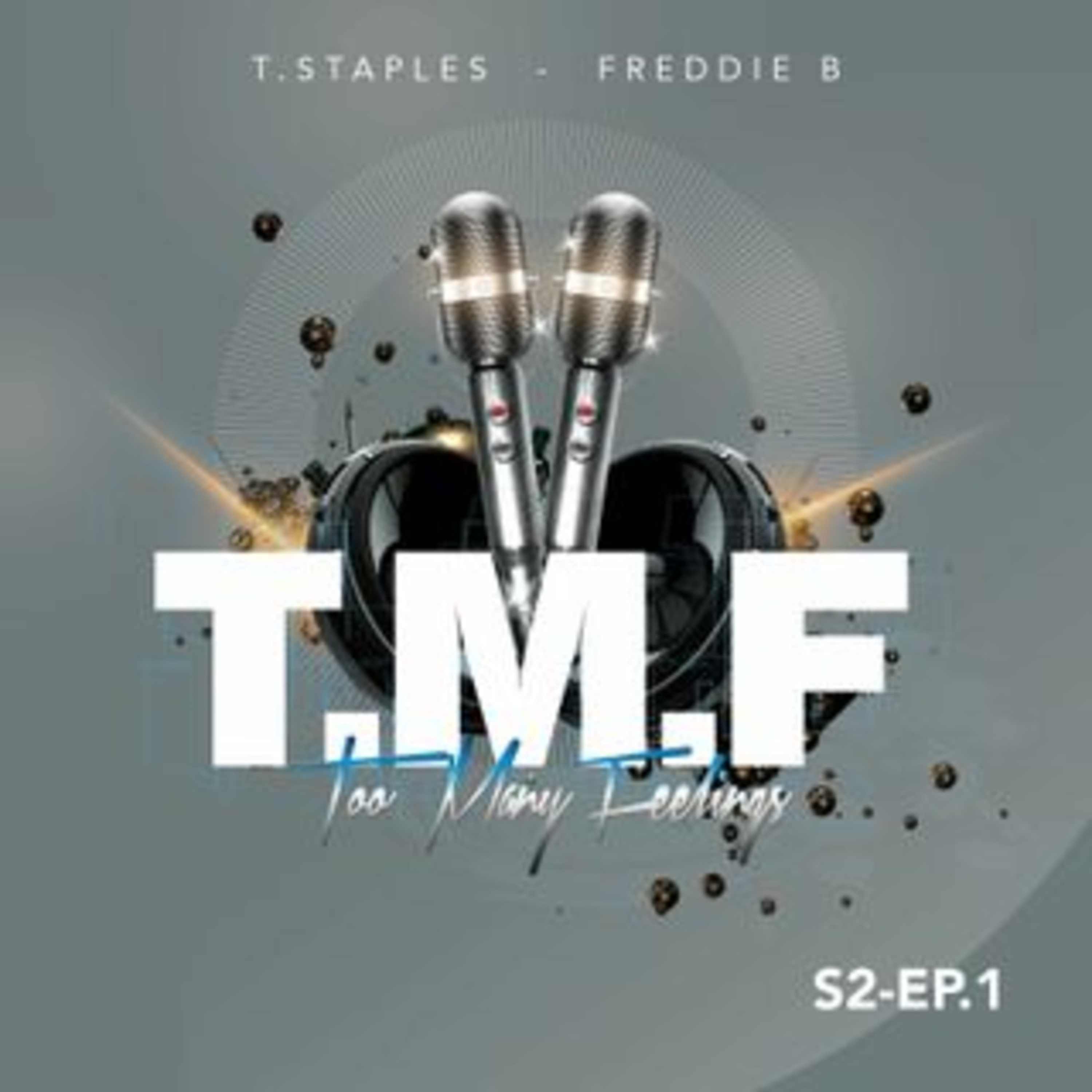 Too Many Feelings (T.M.F.)