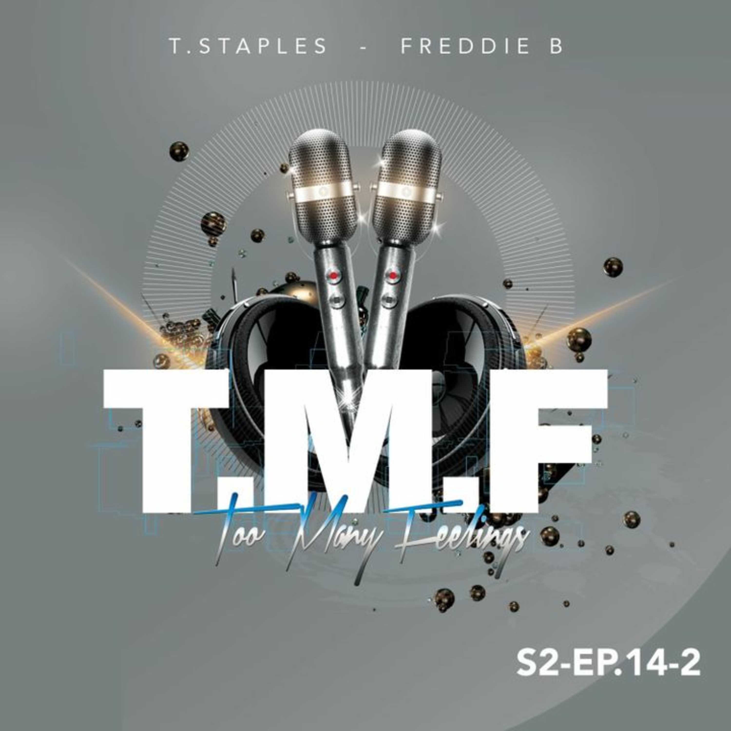 Too Many Feelings (T.M.F.)