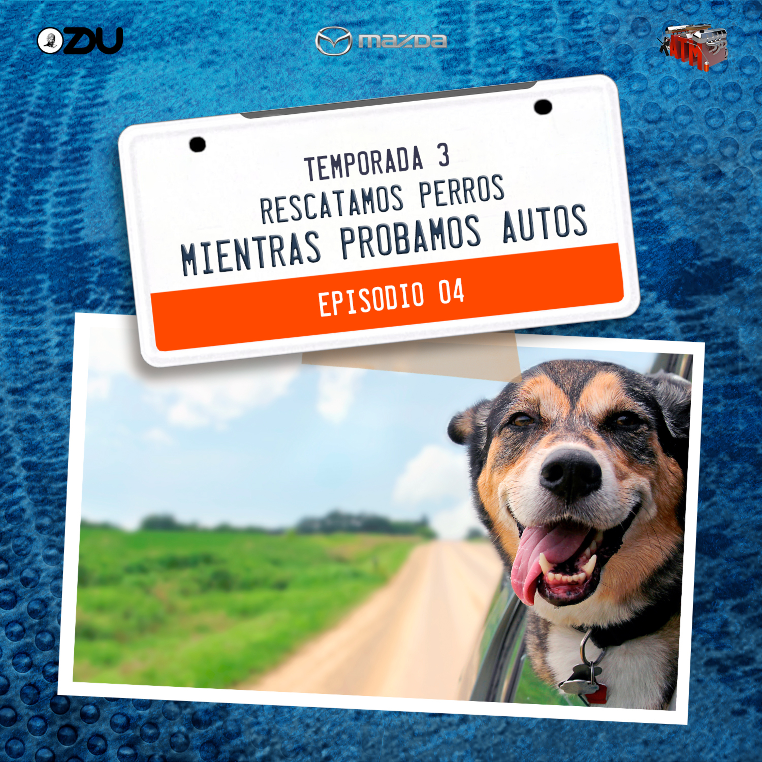 RESCATAMOS PERROS MIENTRAS PROBAMOS AUTOS EP.4 T3 episode artwork