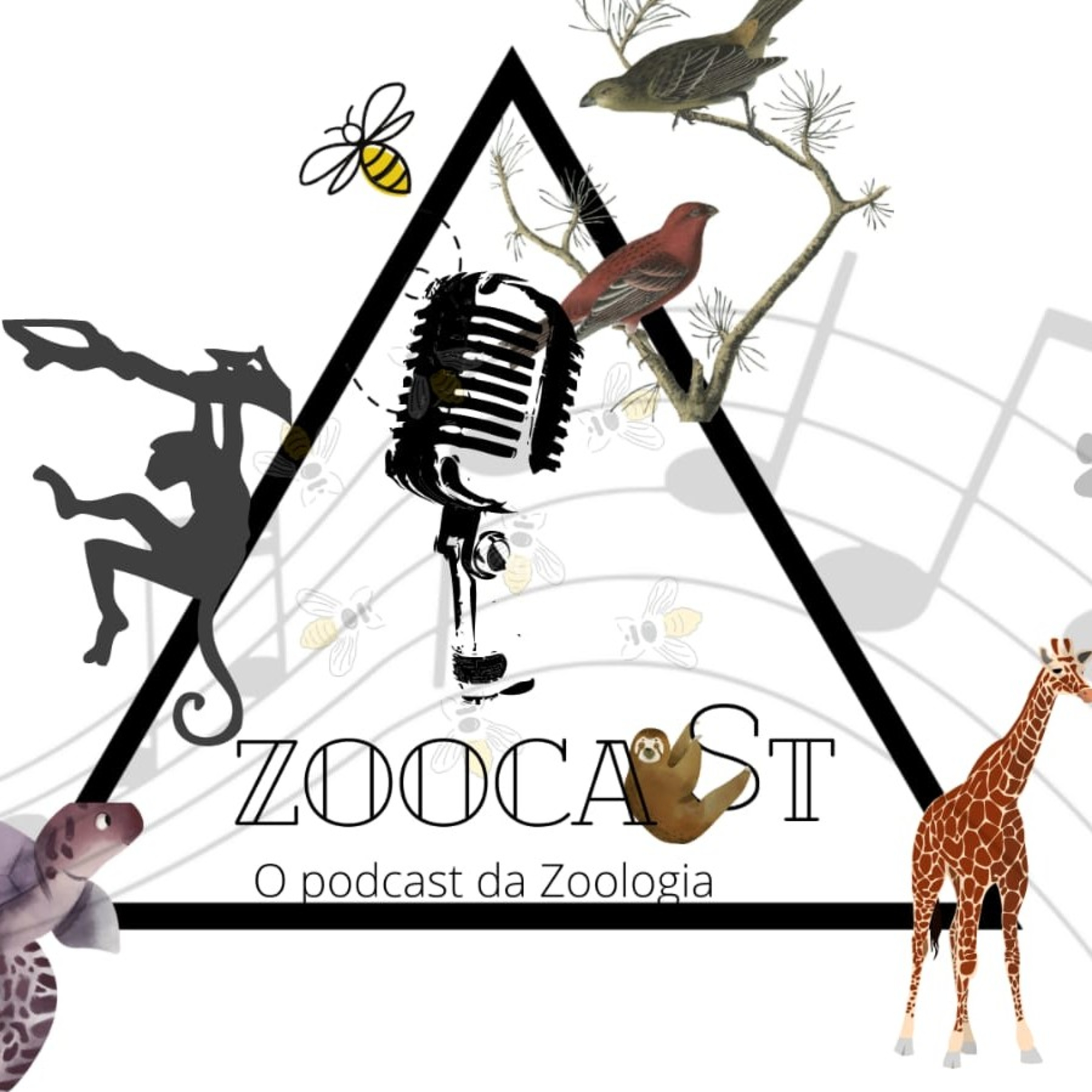 Tecidos dos Metazoa episode artwork