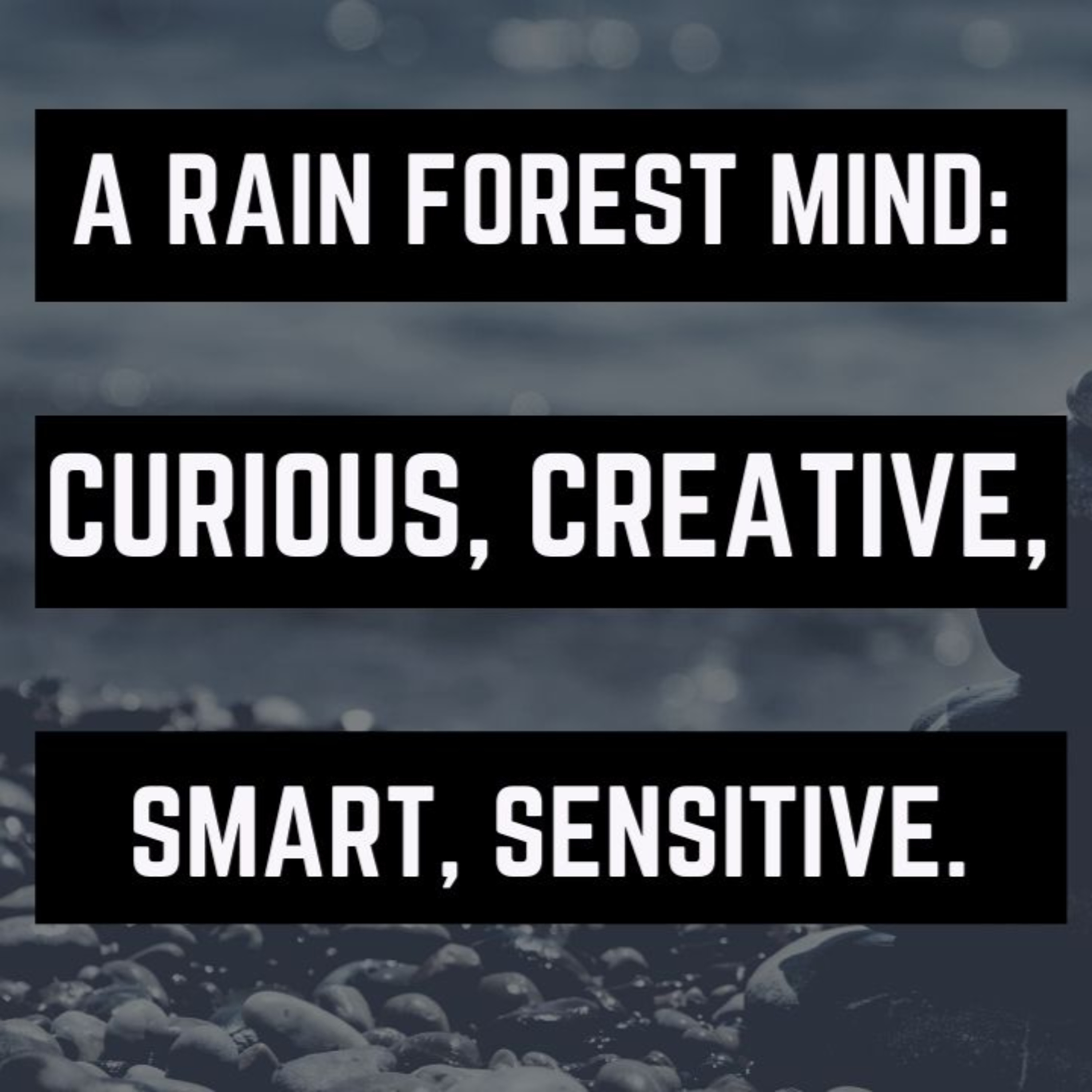 The New Minds Podcast