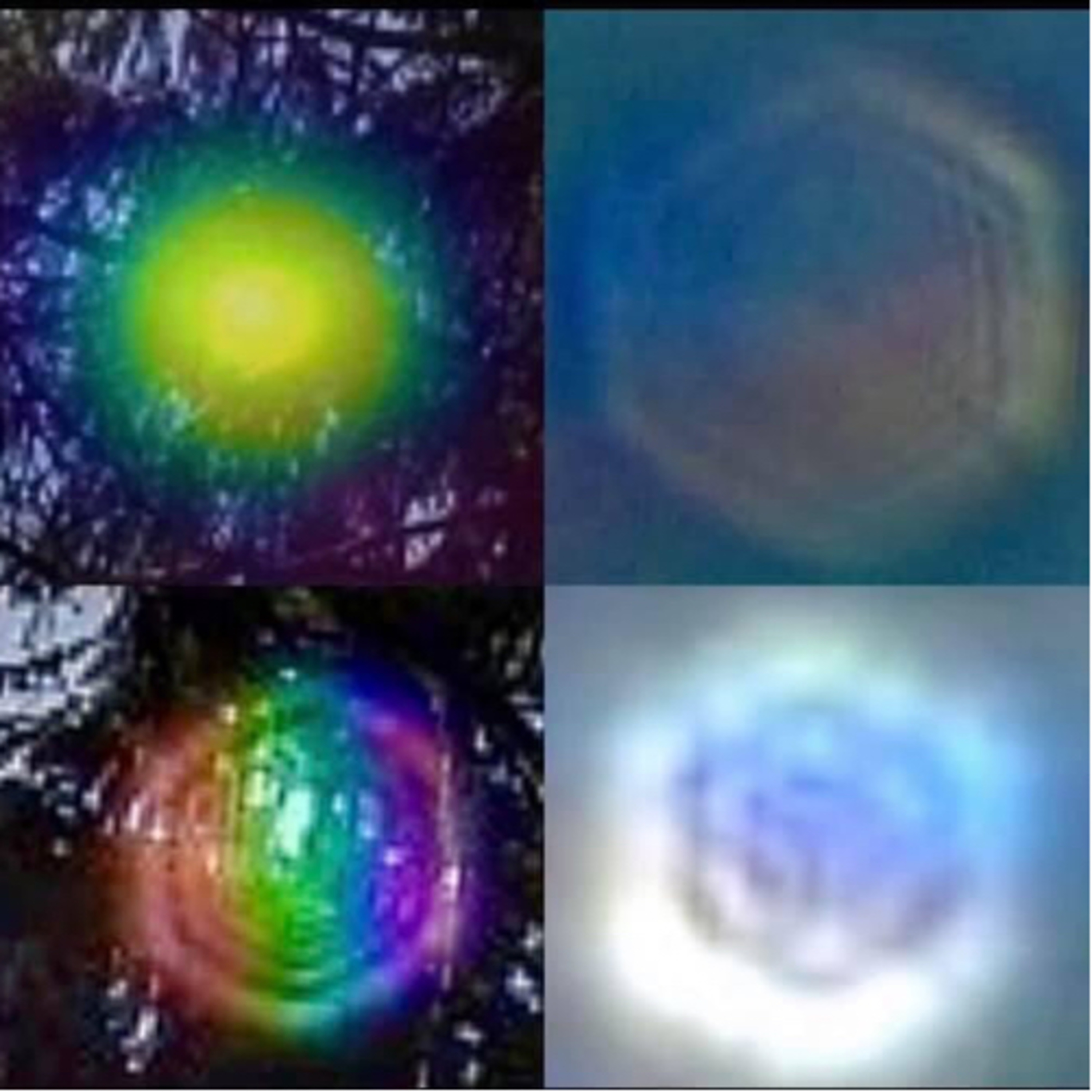 Shri’s Inner Circle